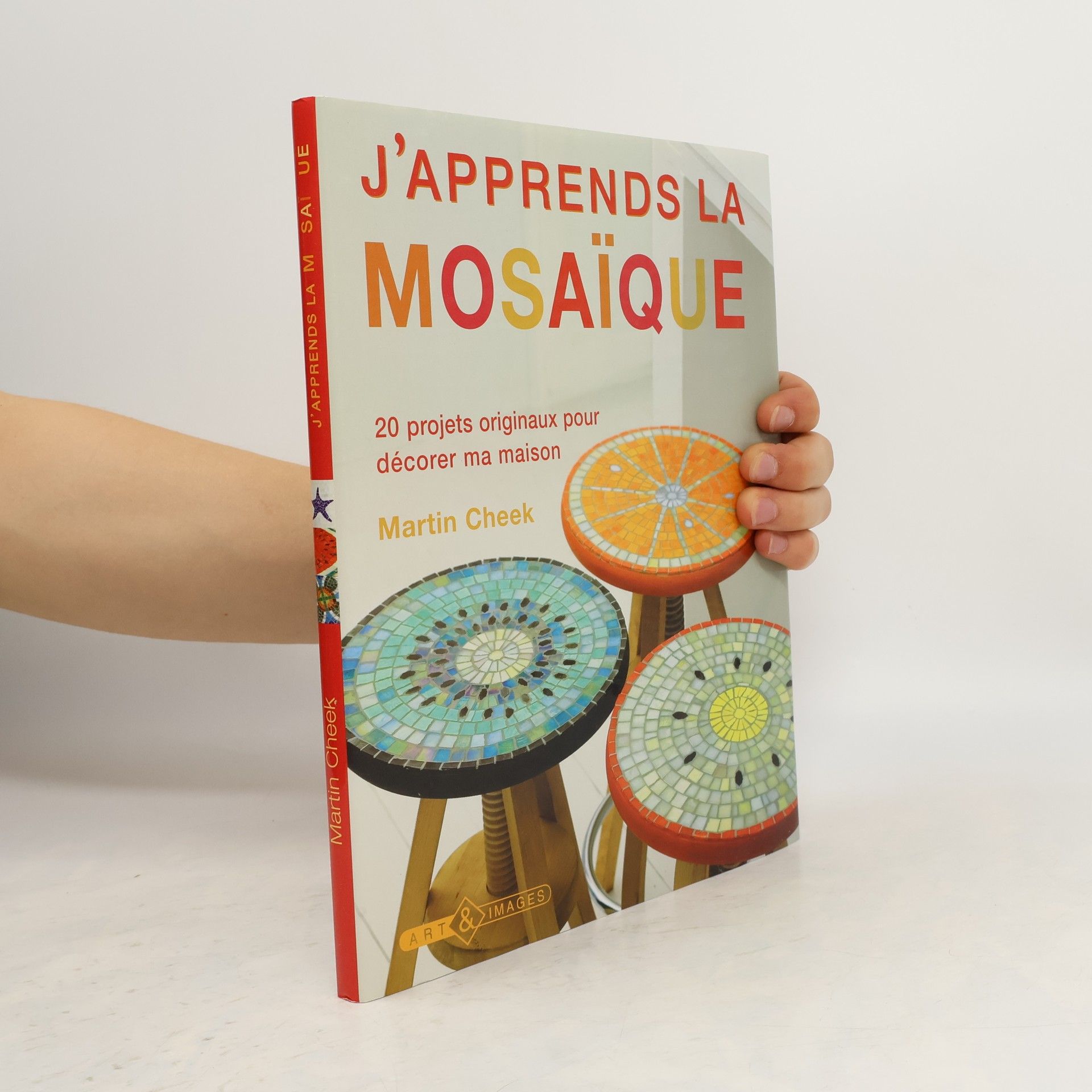 Martin Cheek J'apprends la mosaïque