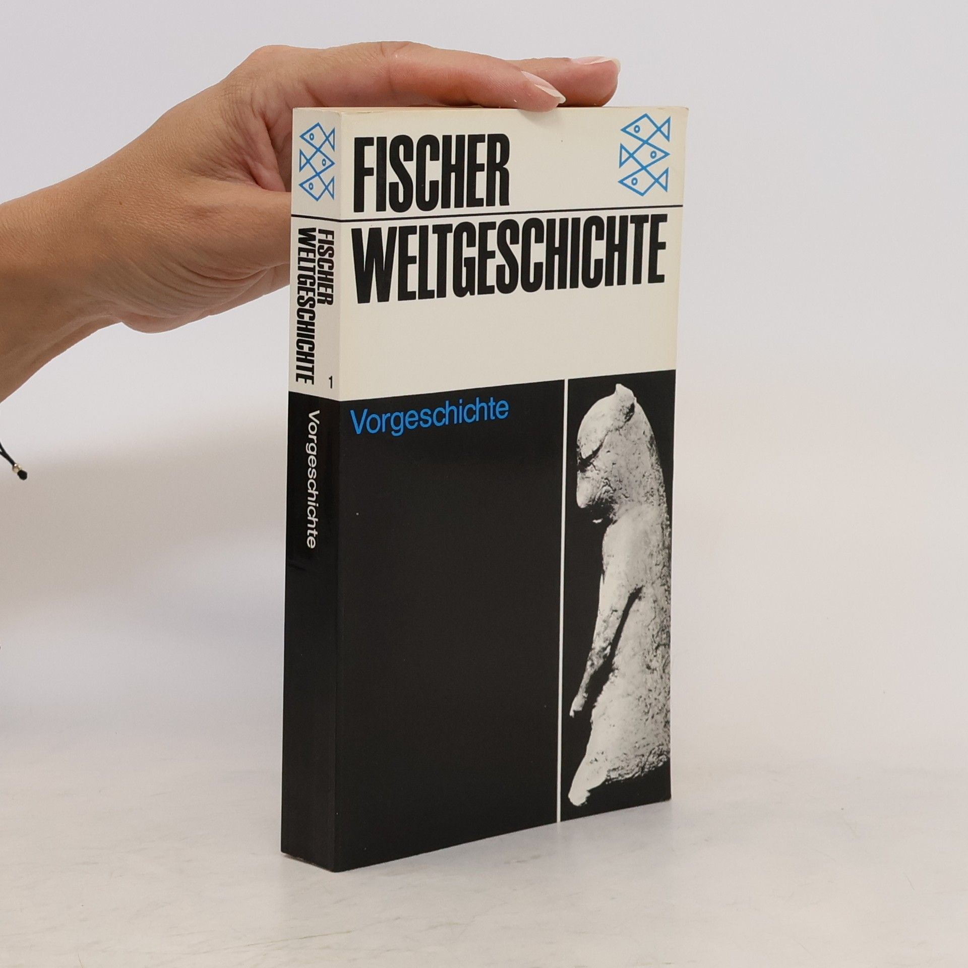 Marie Henriette Alimen Vorgeschichte