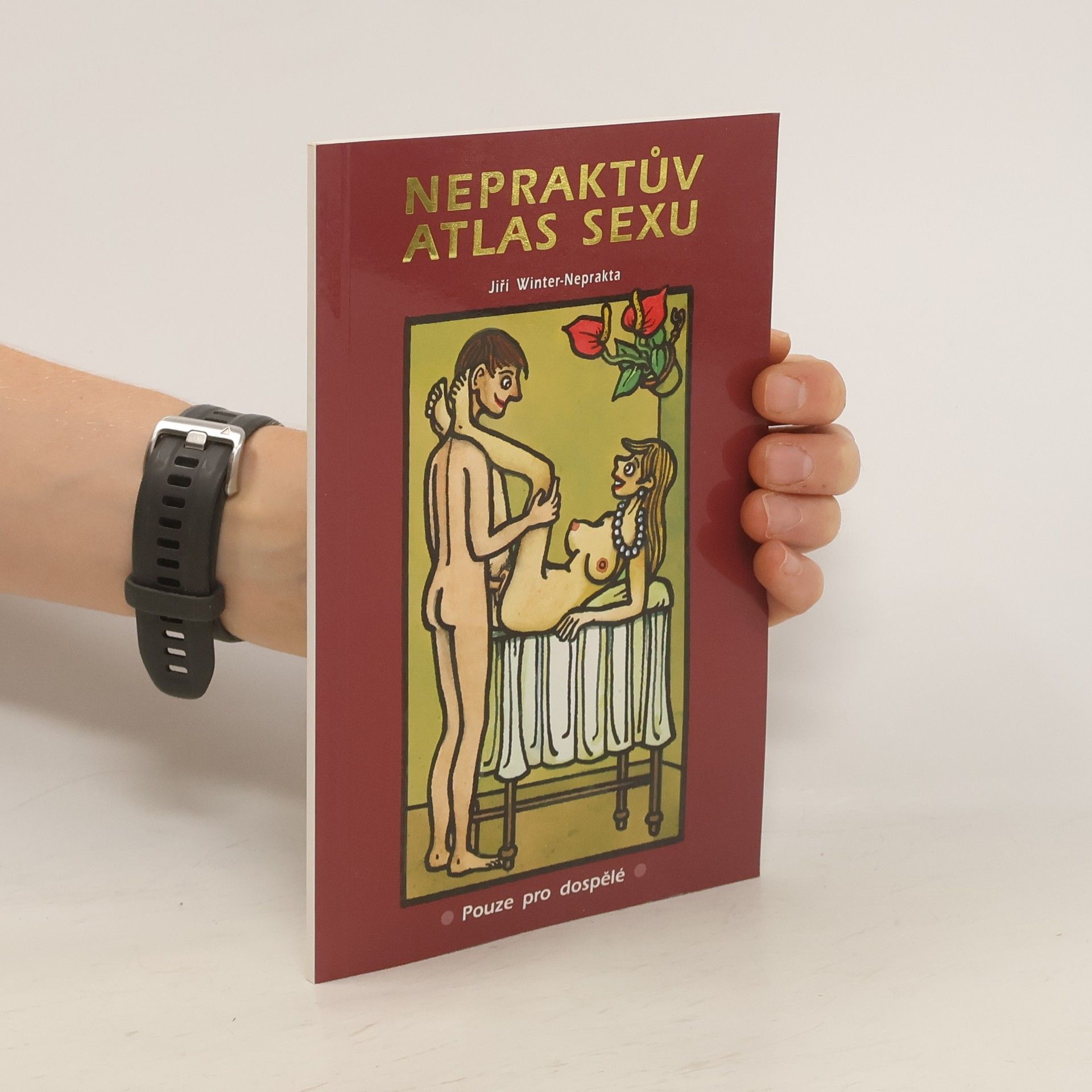 Jiří Winter Neprakta Nepraktův atlas sexu