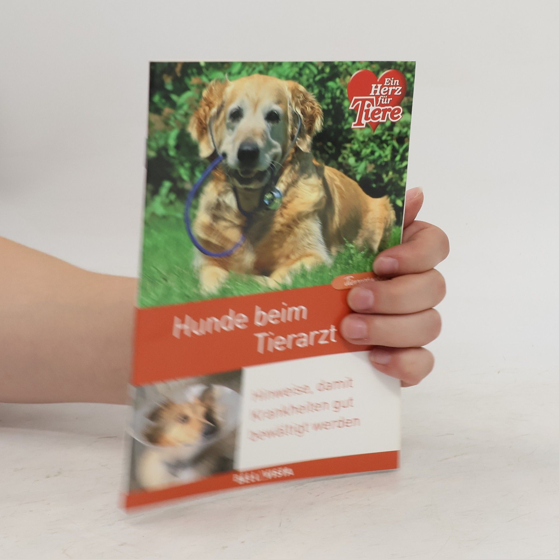 AA.VV. Hunde beim Tierarzt