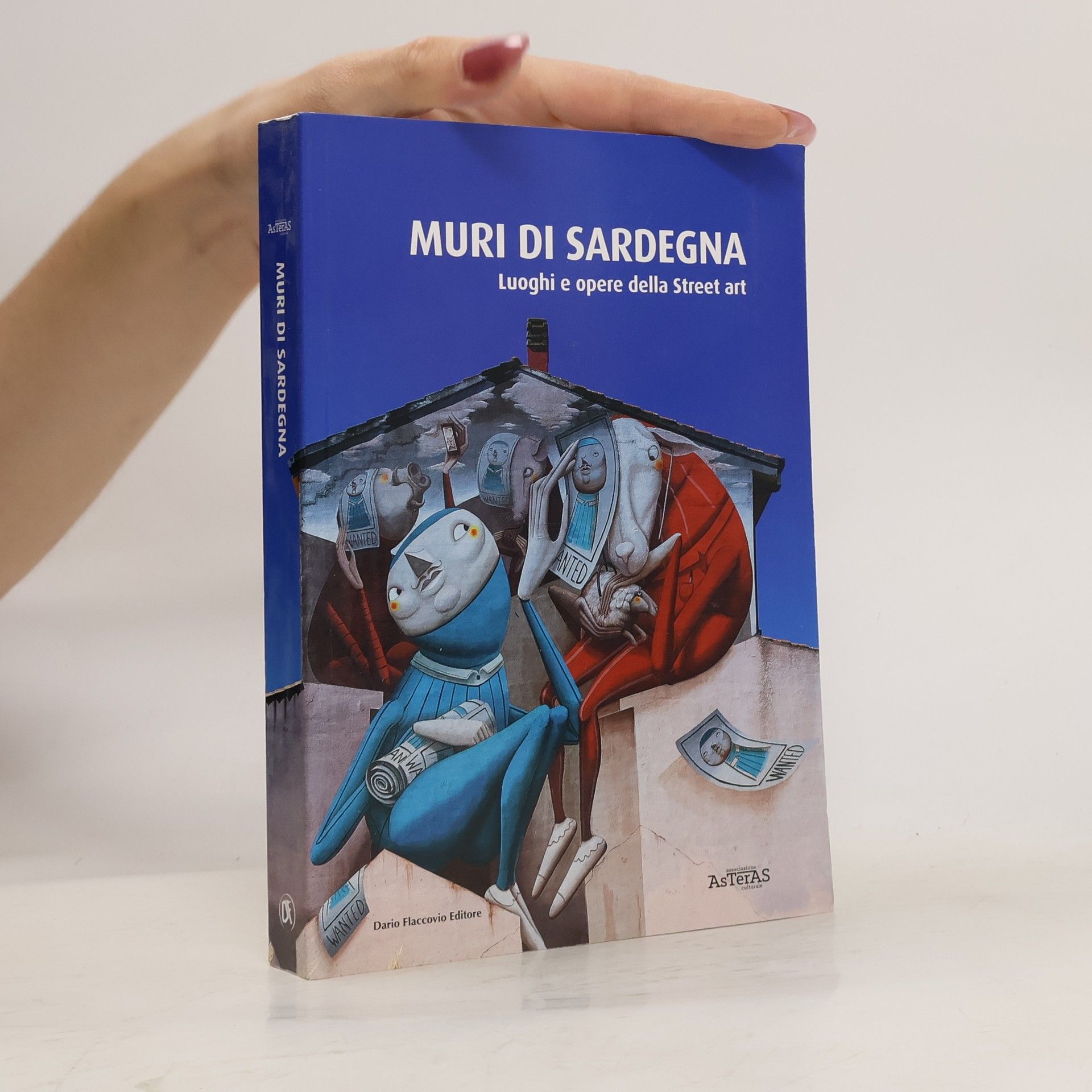 Elisabetta Borghi Muri di Sardegna. Luoghi e opere della street art