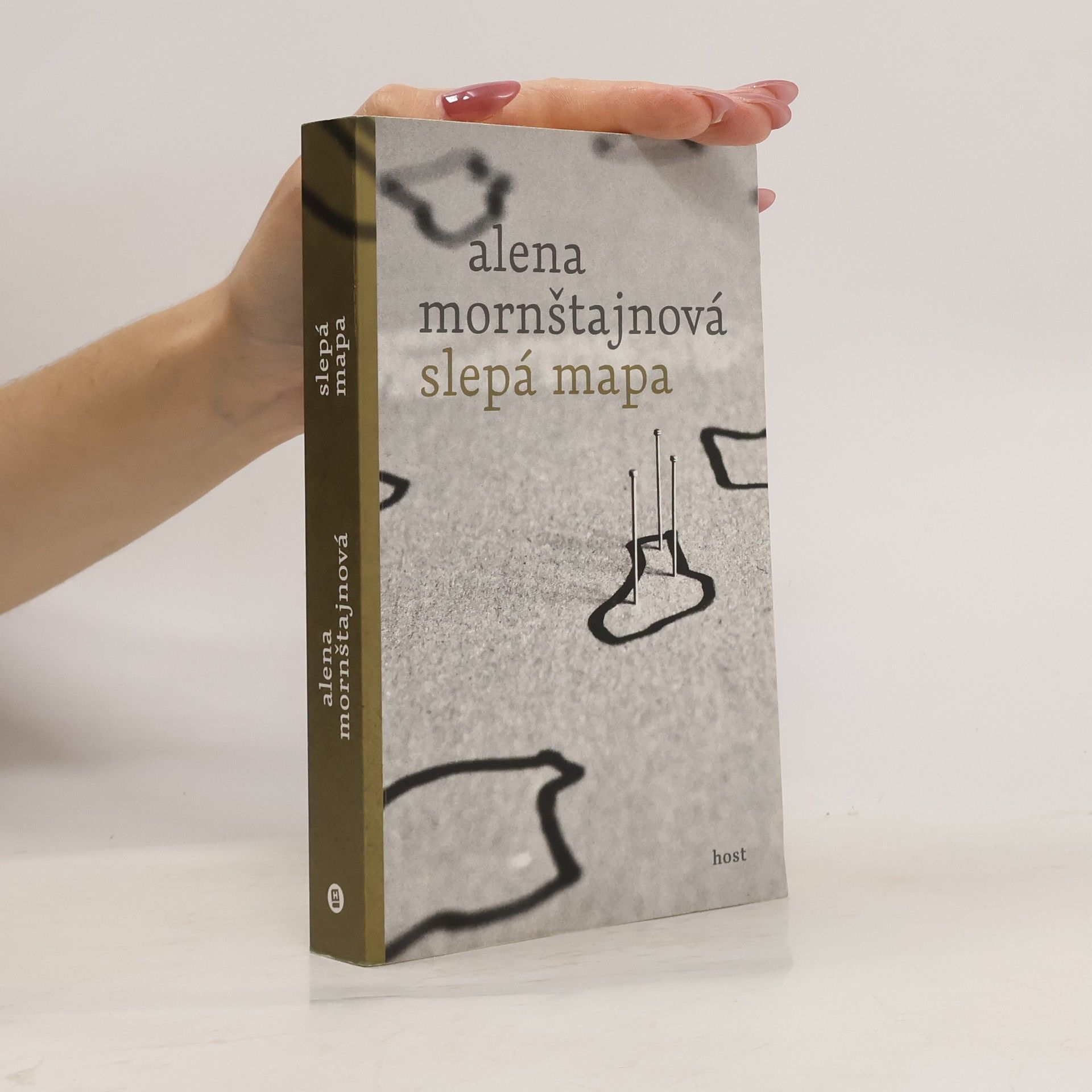 Alena Mornštajnová Slepá mapa