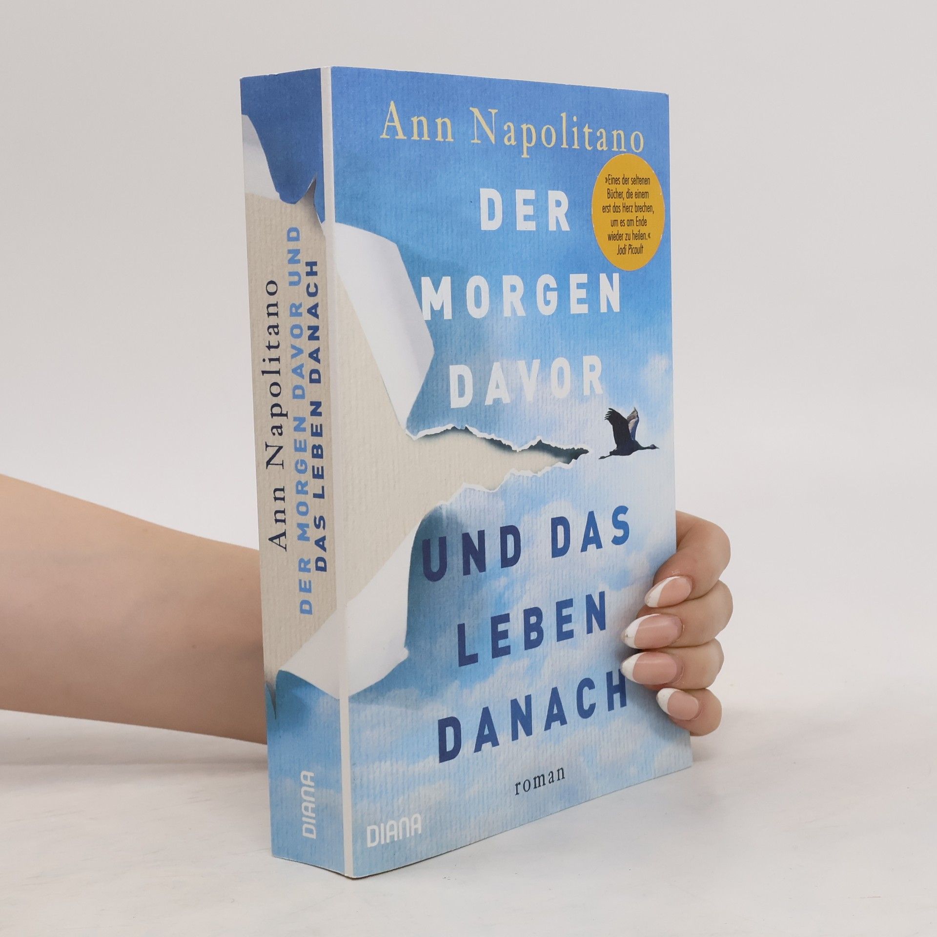 Ann Napolitano Der Morgen davor und das Leben danach