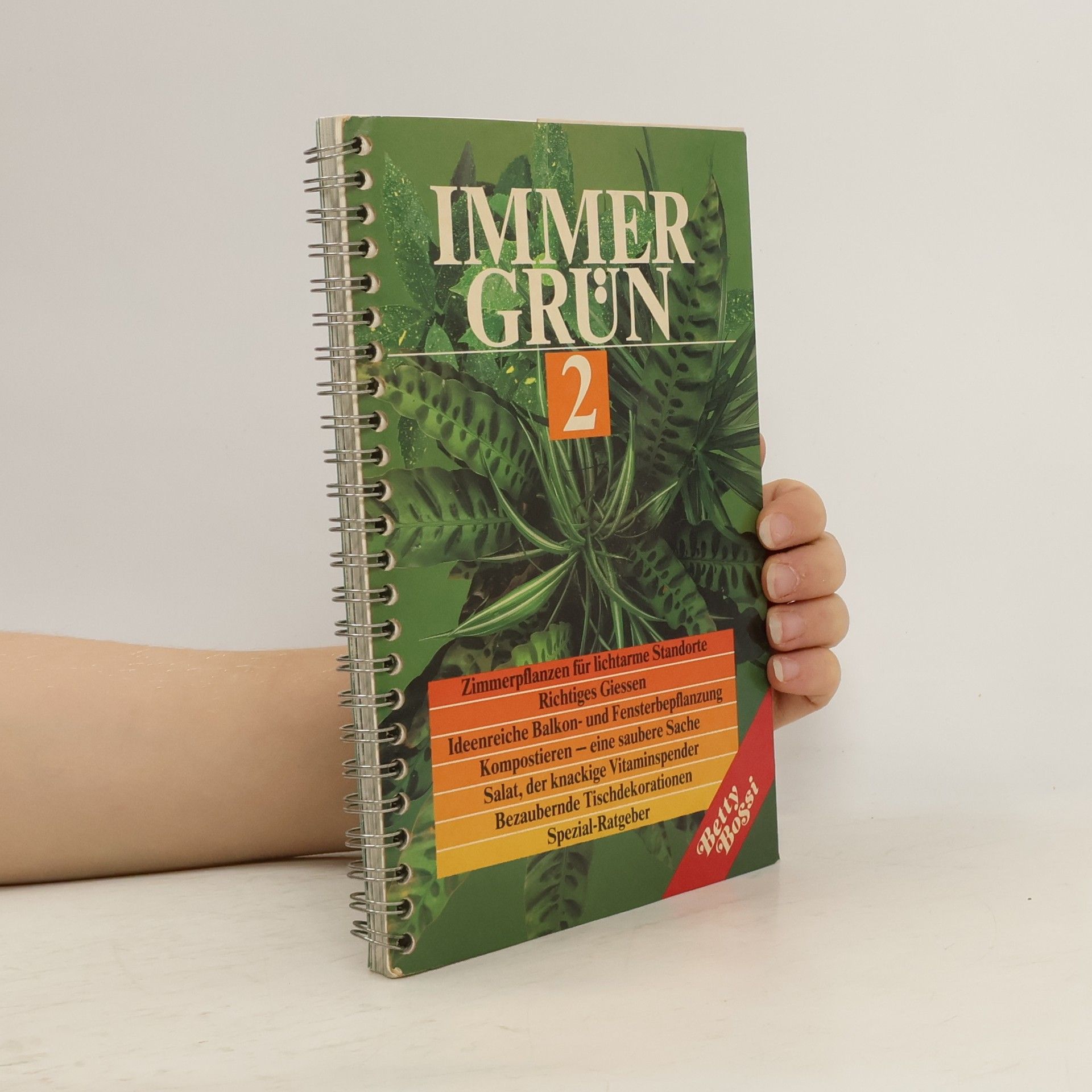 Collectif d'auteurs Immer Grün 2