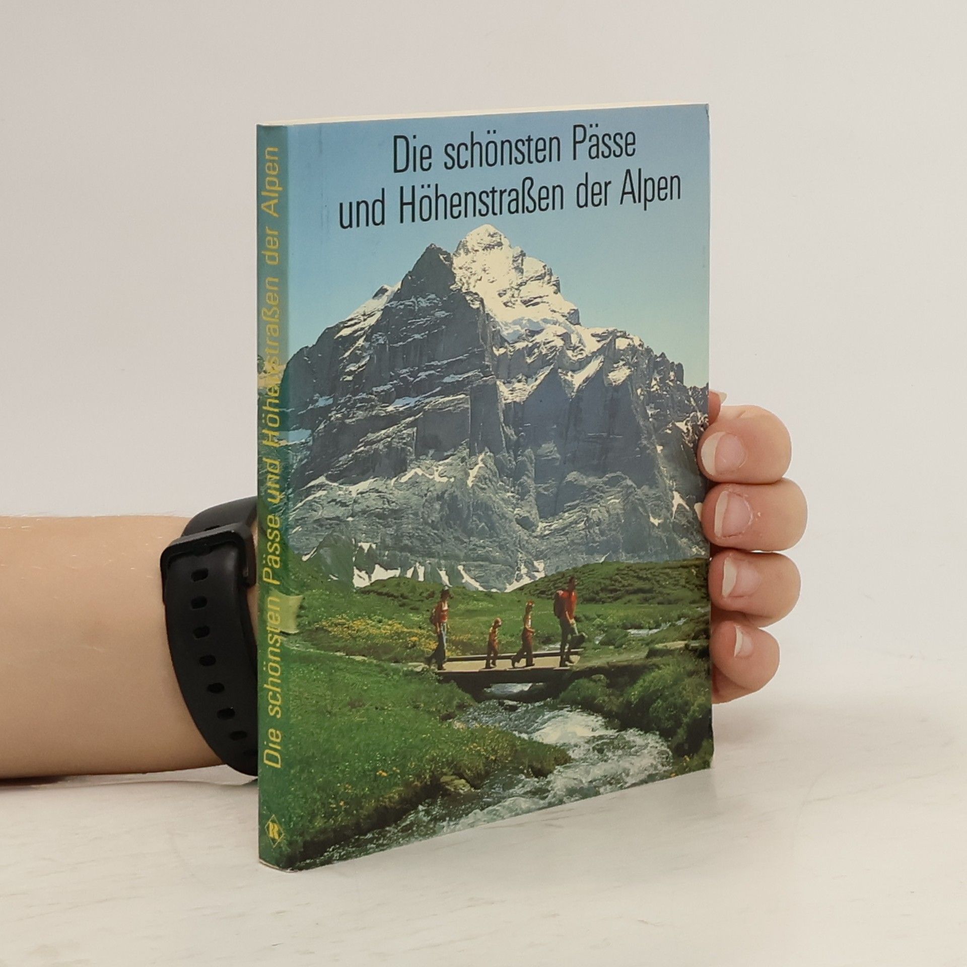 Dieter Maier Die schönsten Pässe und Höhenstraßen der Alpen.