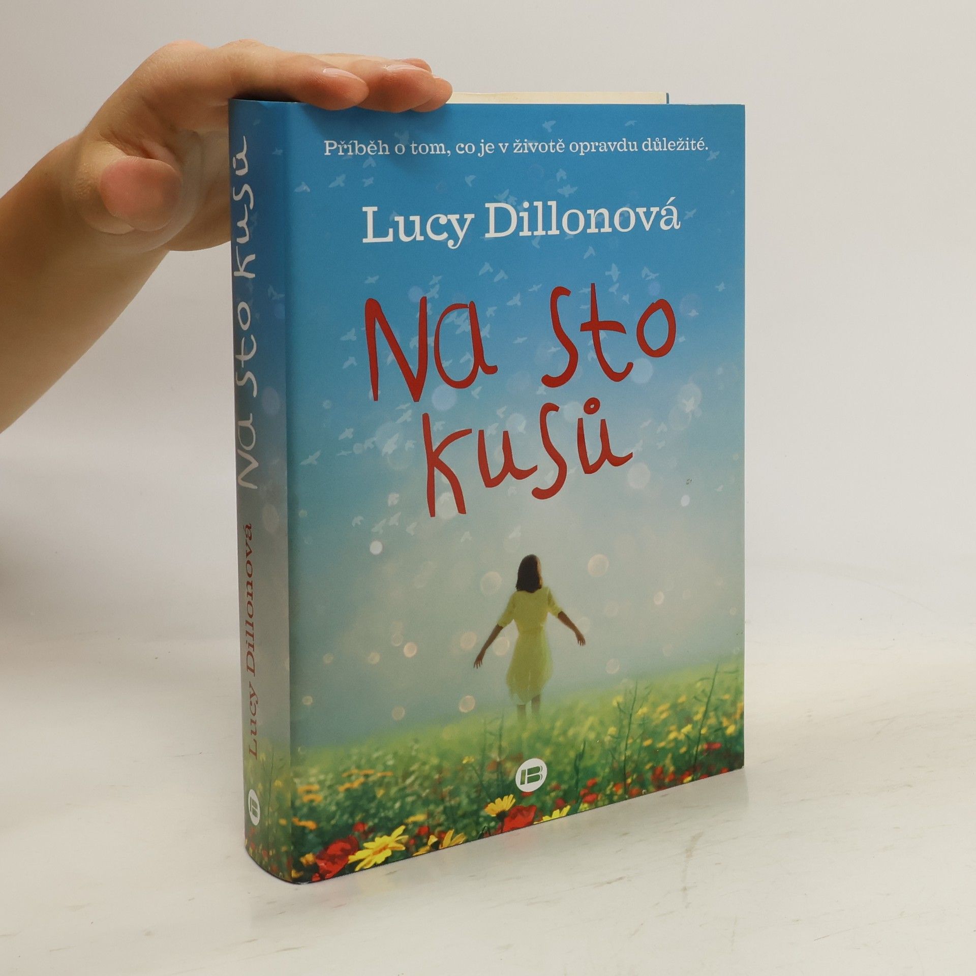 Lucy Dillon Na sto kusů