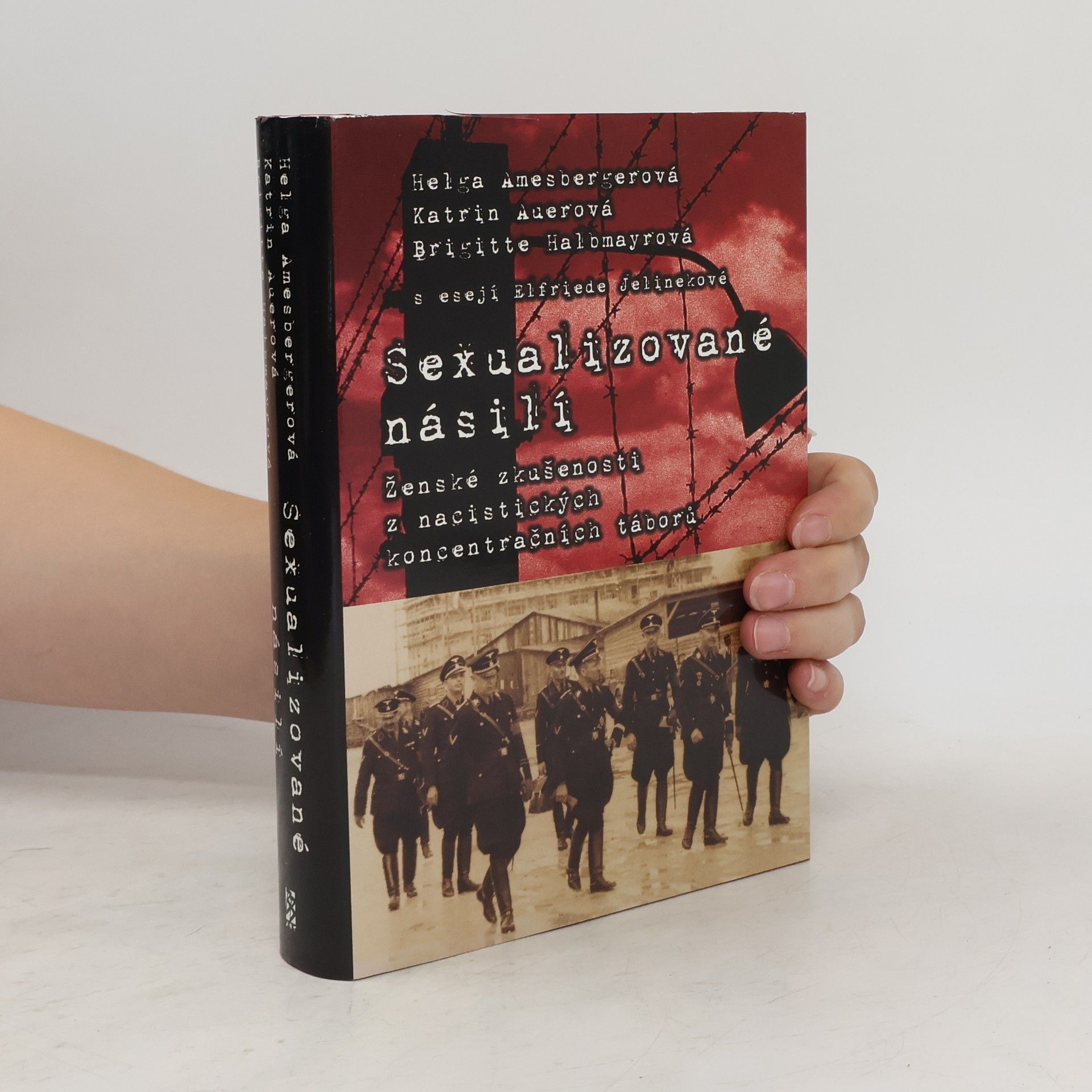 Sexualizované násilí