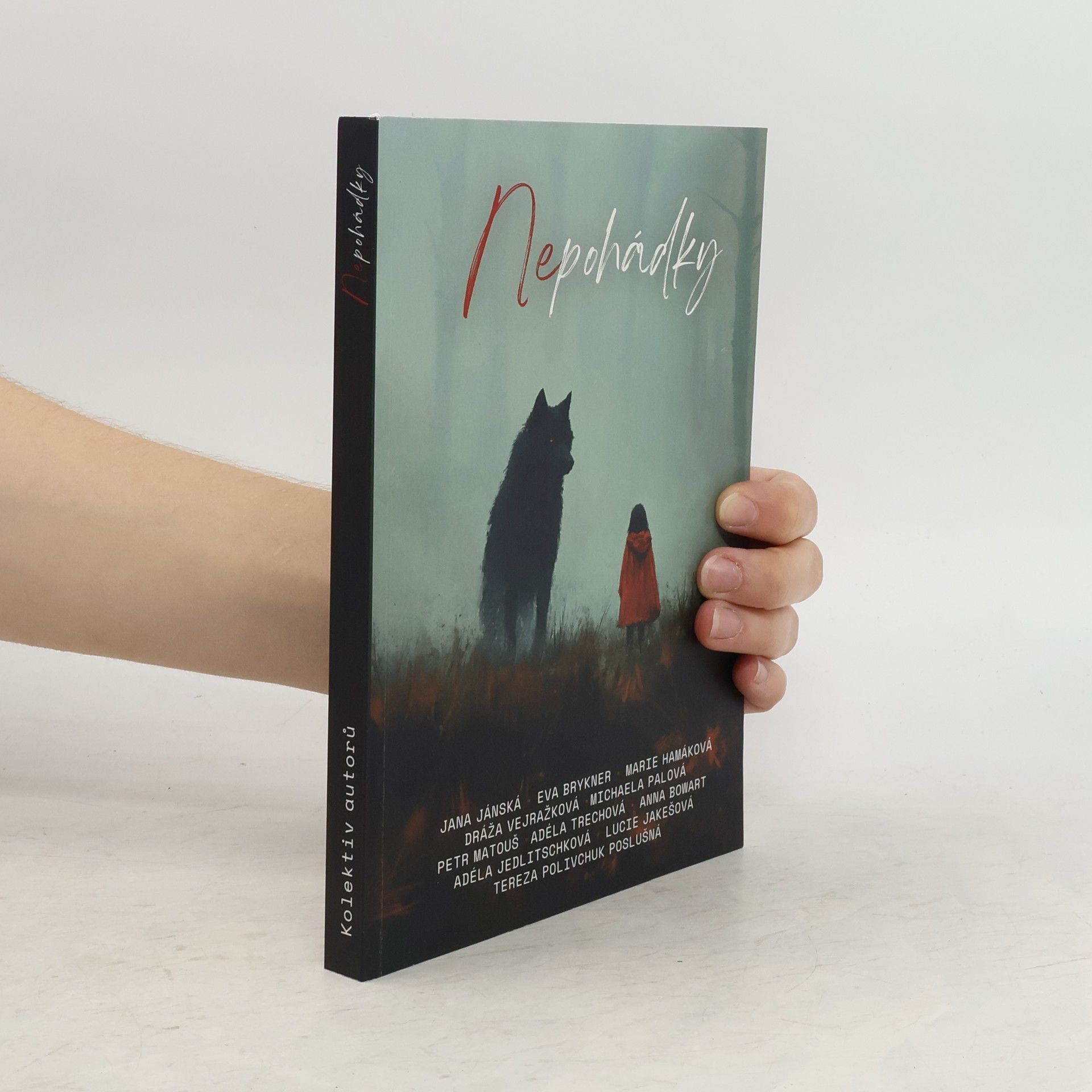 Collectif d'auteurs Nepohádky