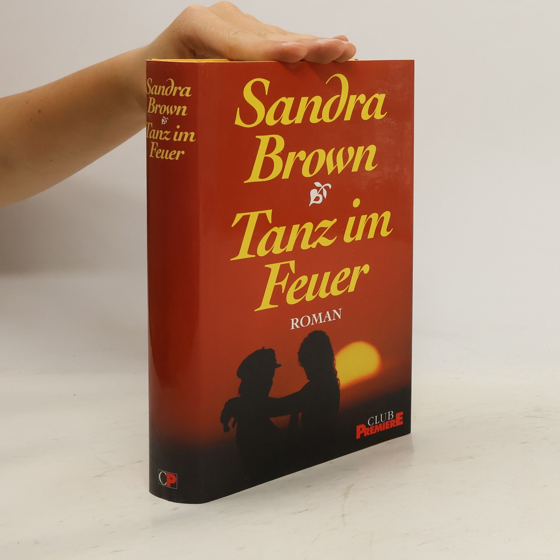 Sandra Brown Tanz im Feuer