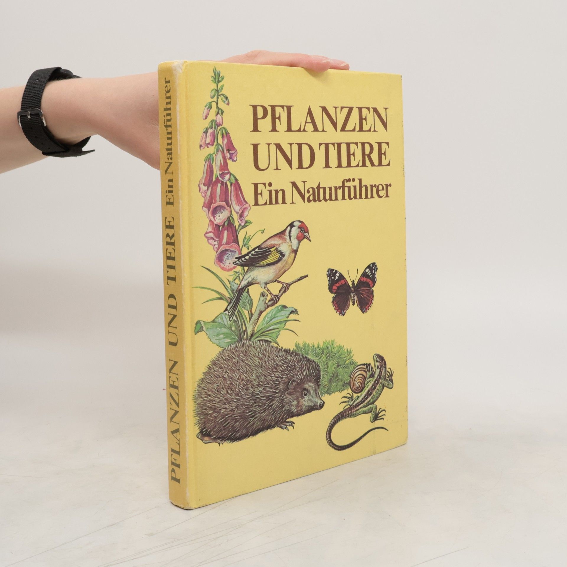 AA.VV. Pflanzen und Tiere. Ein Naturführer