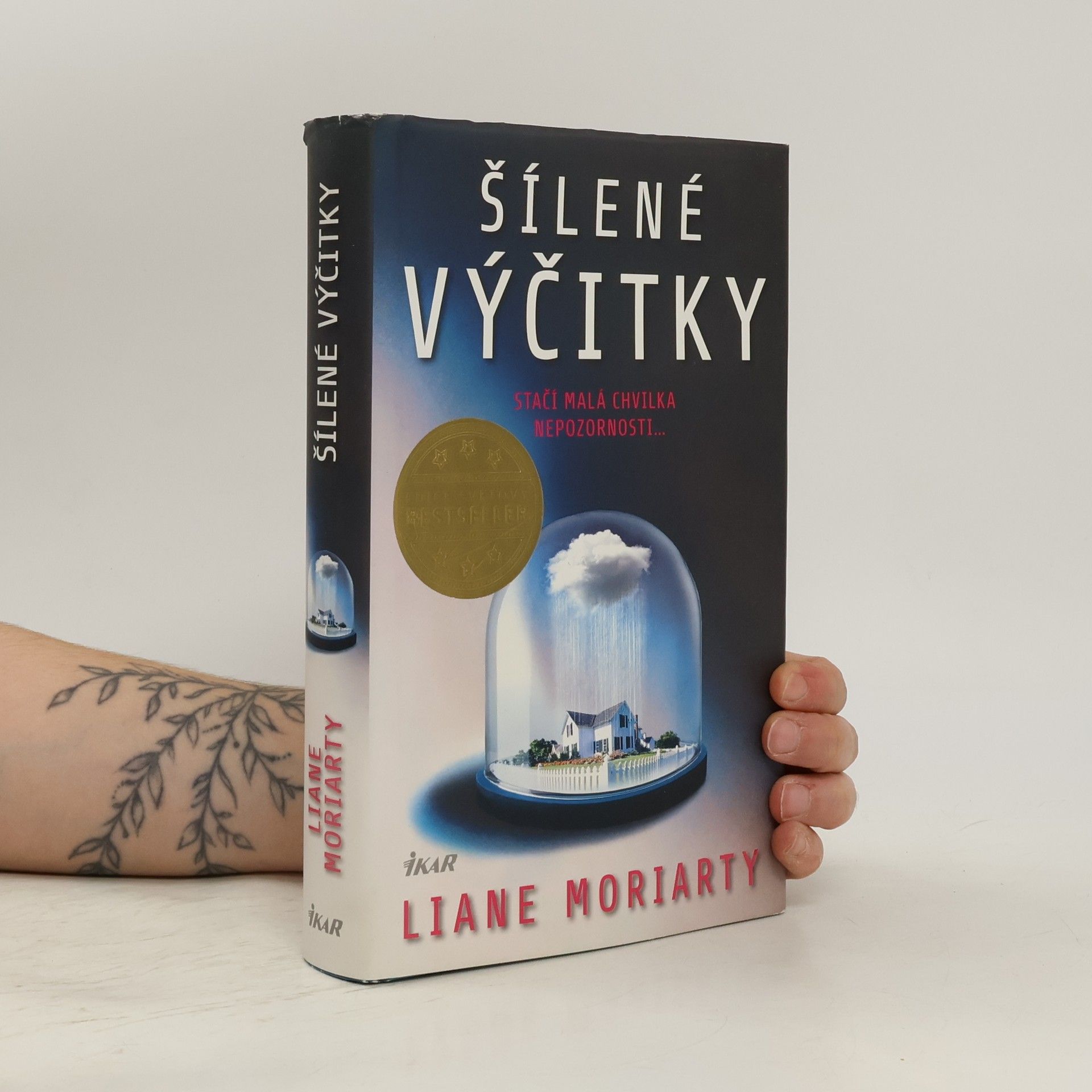 Liane Moriarty Šílené výčitky