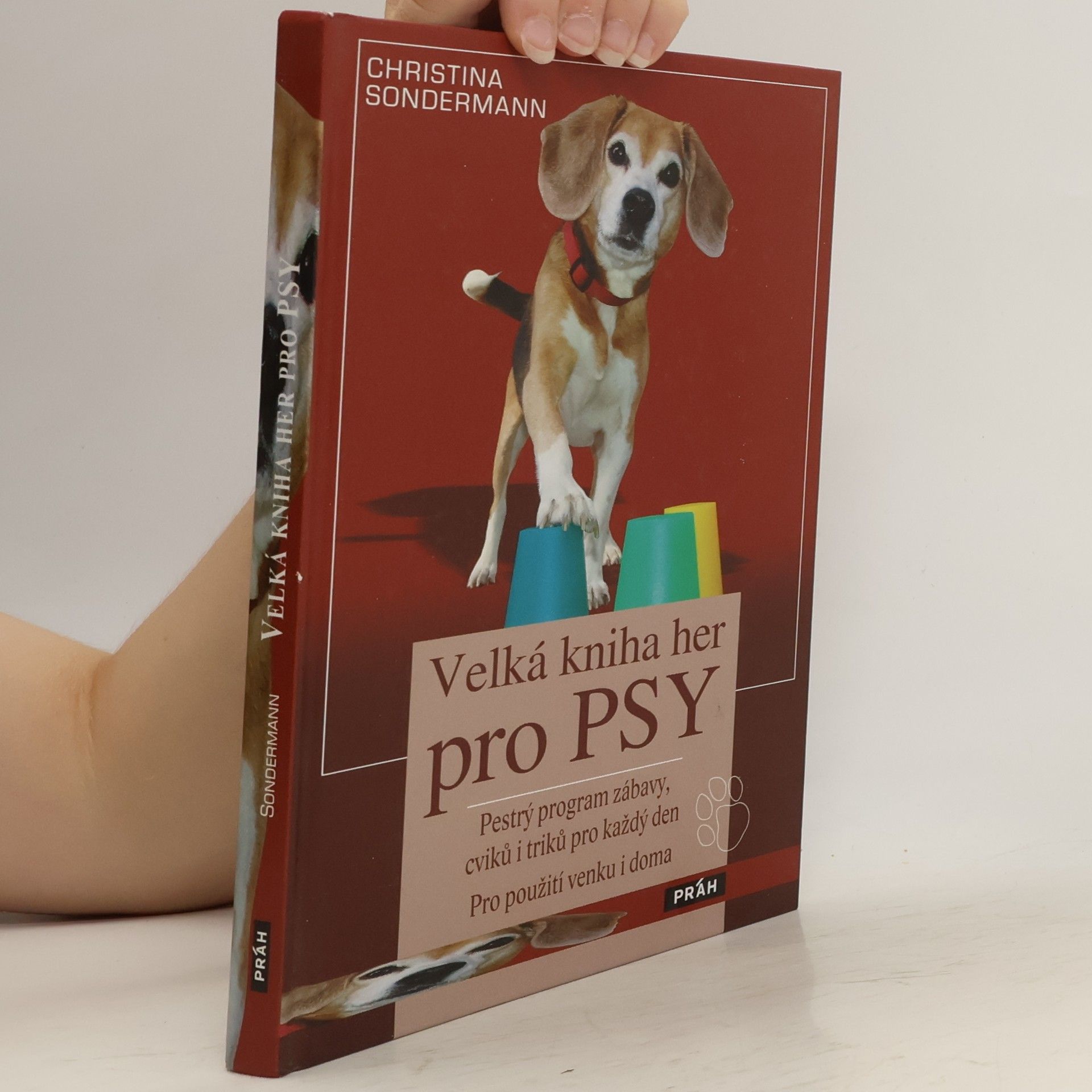 Velká kniha her pro psy: Pestrý program zábavy, cviků i triků pro každý den