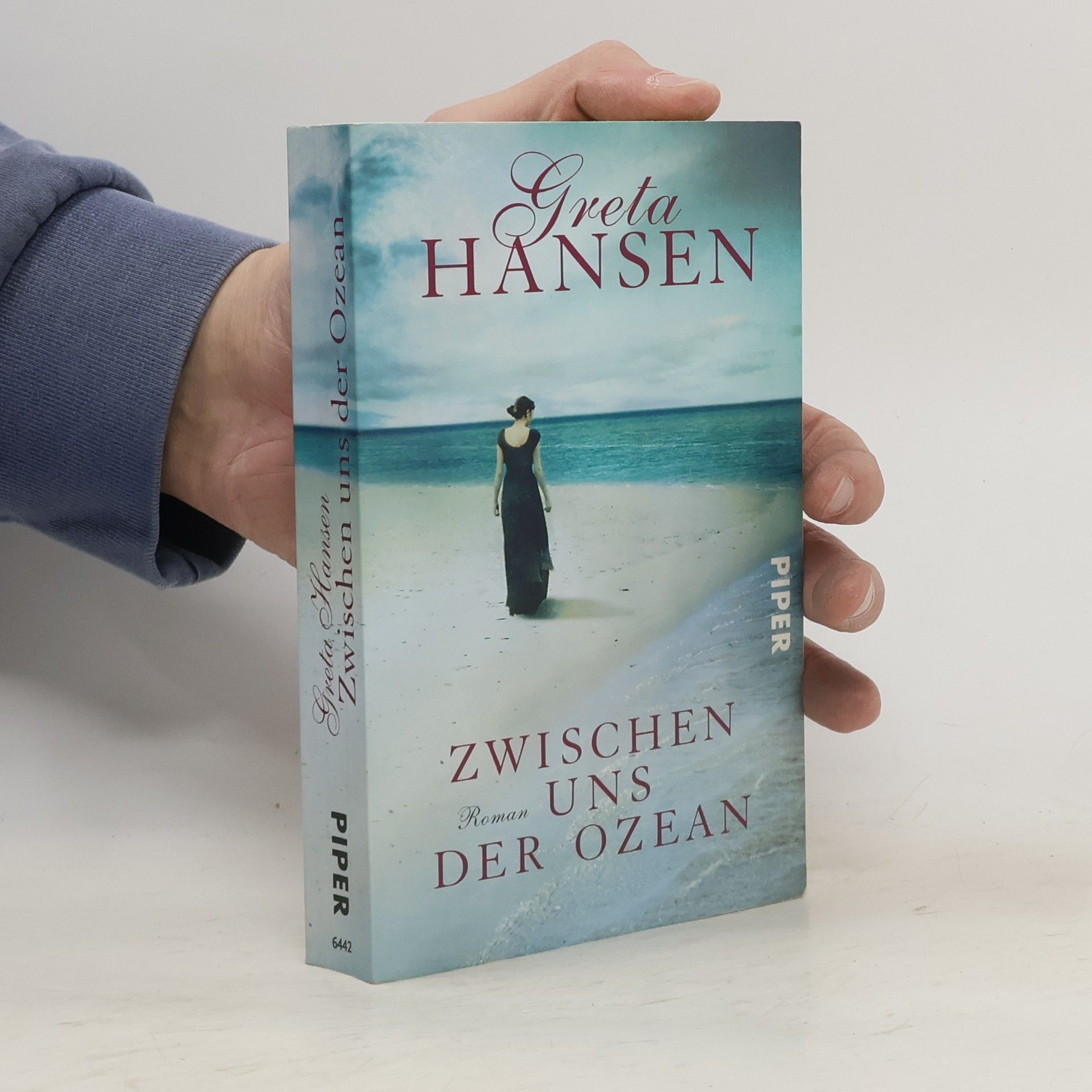 Greta Hansen Zwischen uns der Ozean
