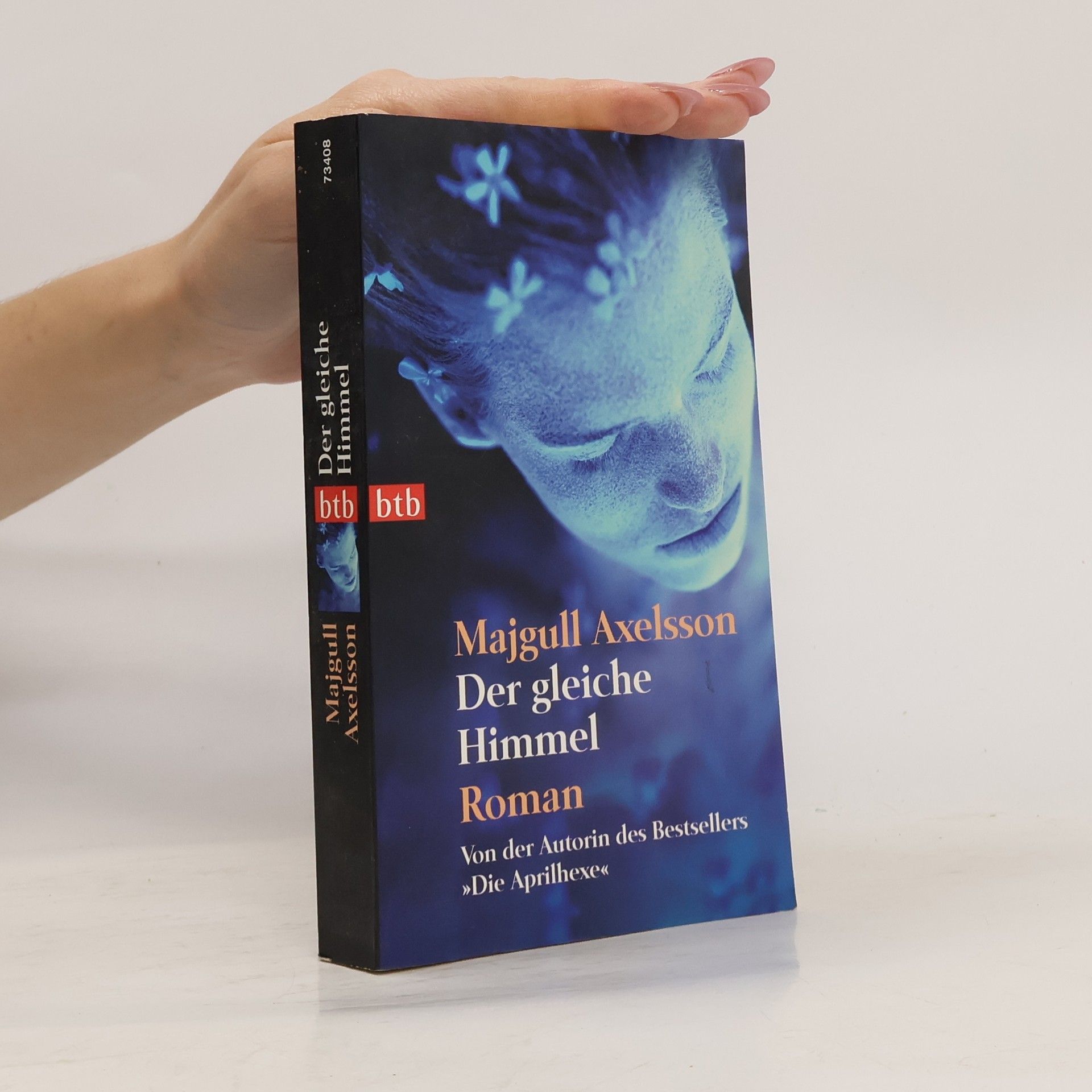 Majgull Axelsson Der gleiche Himmel