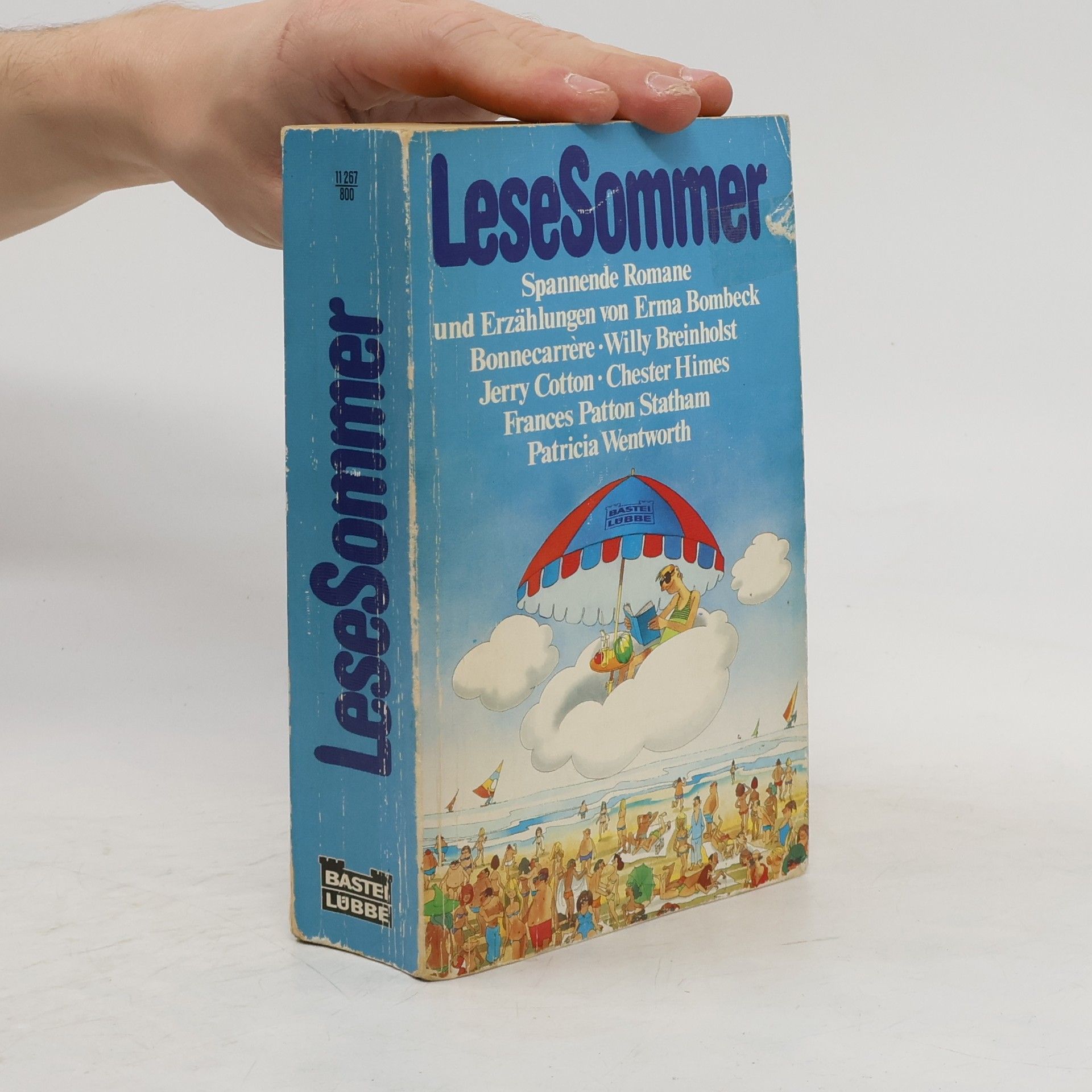 Collectif d'auteurs LeseSommer