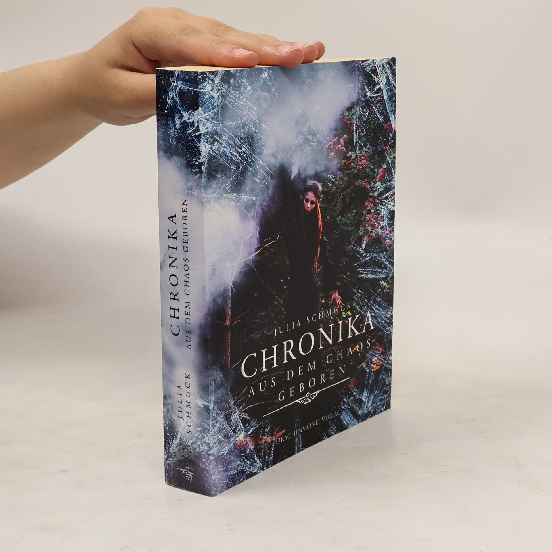 Julia Schmuck Aus dem Chaos geboren