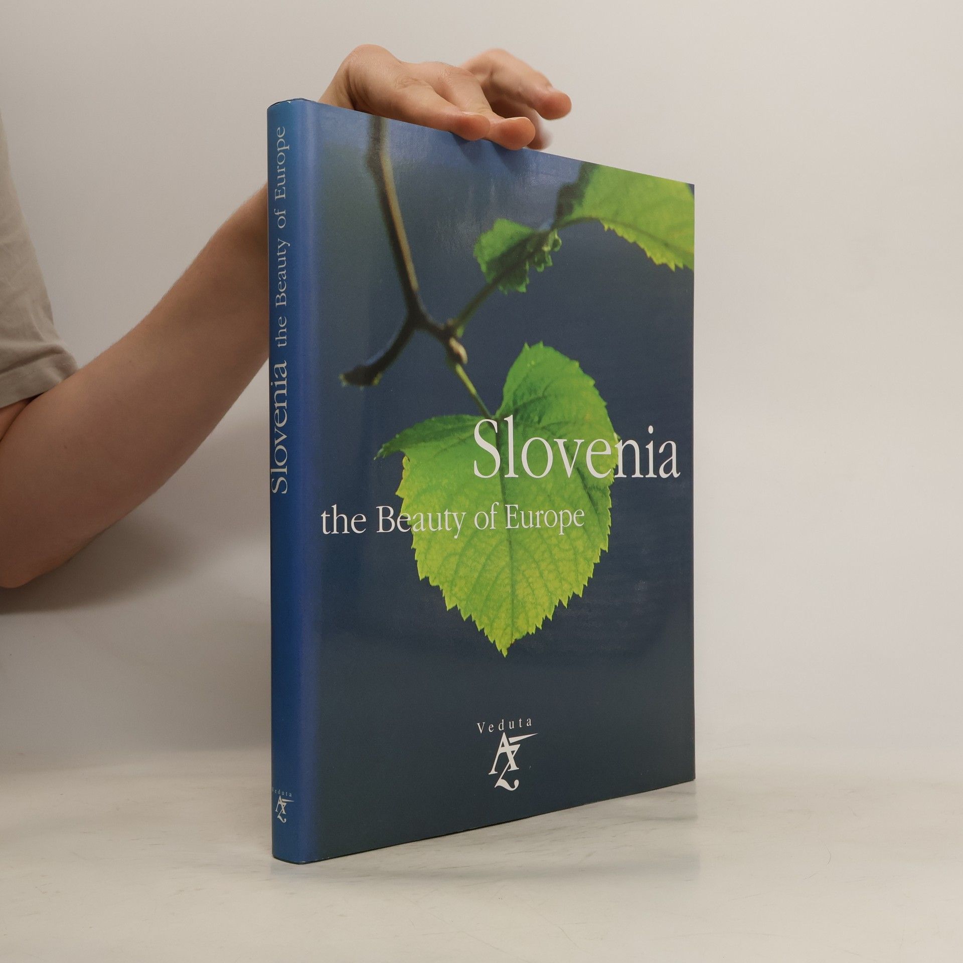 kolektiv Slovenia: the Beauty of Europe