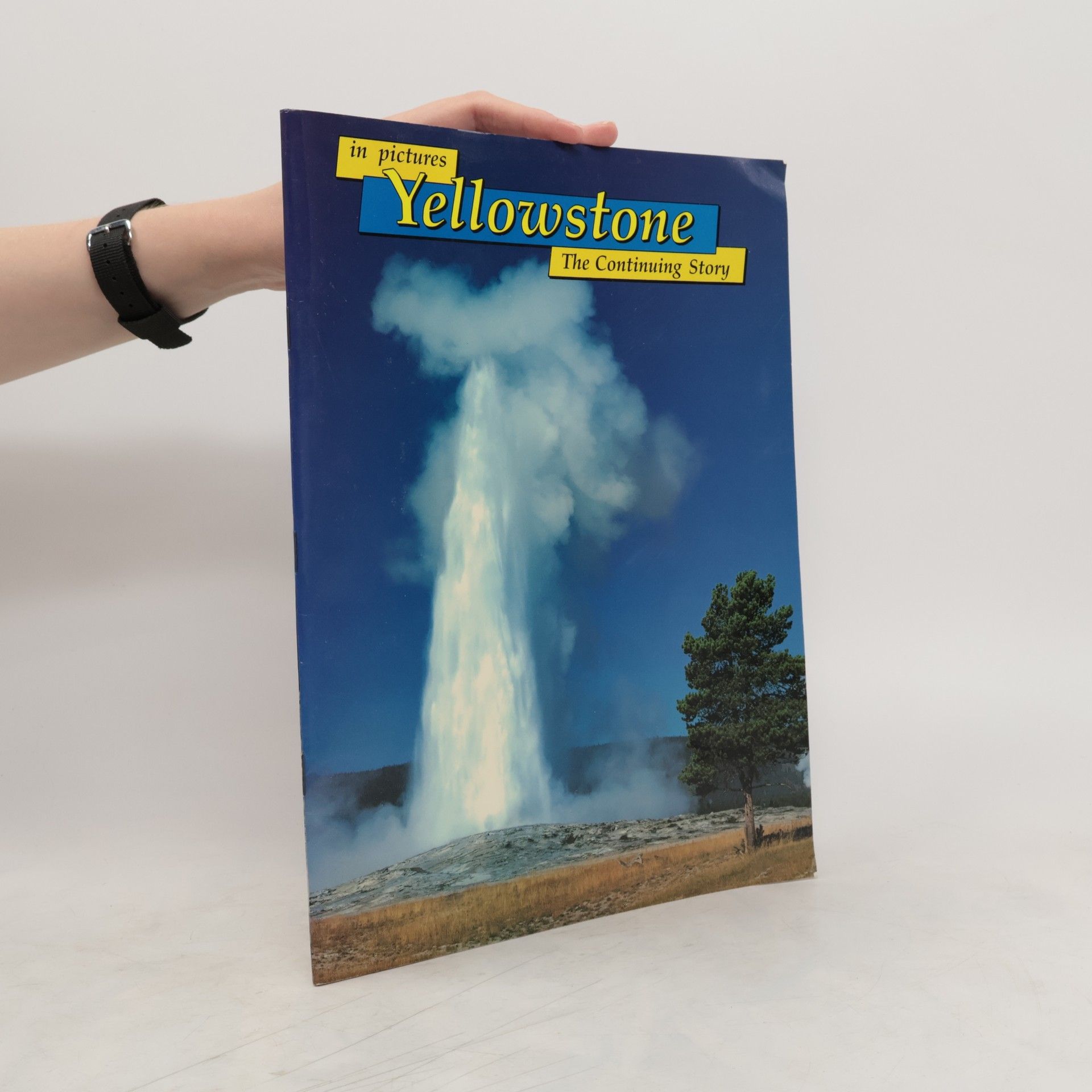 Sandra Chisholm Robinson Yellowstone