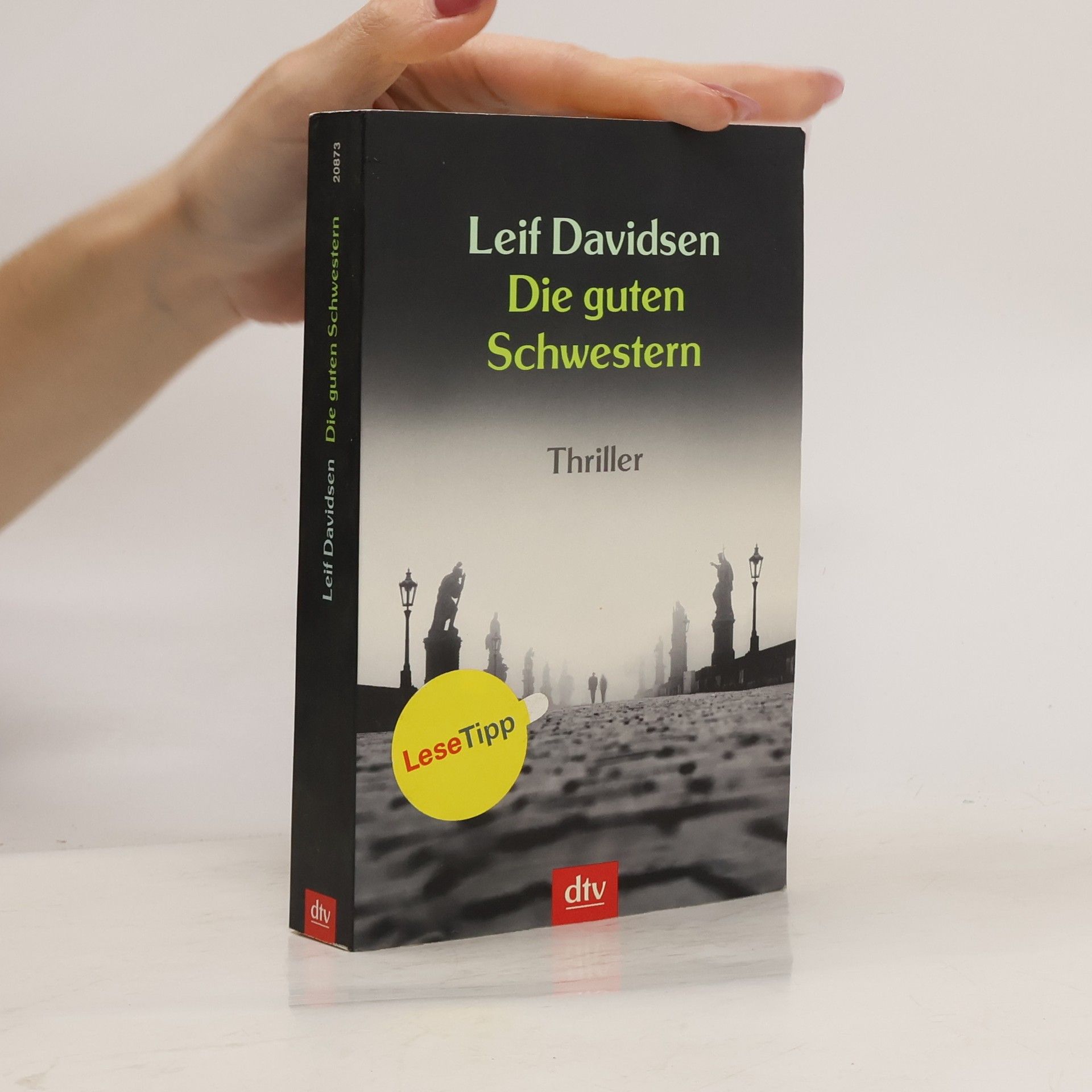 Leif Davidsen Die guten Schwestern