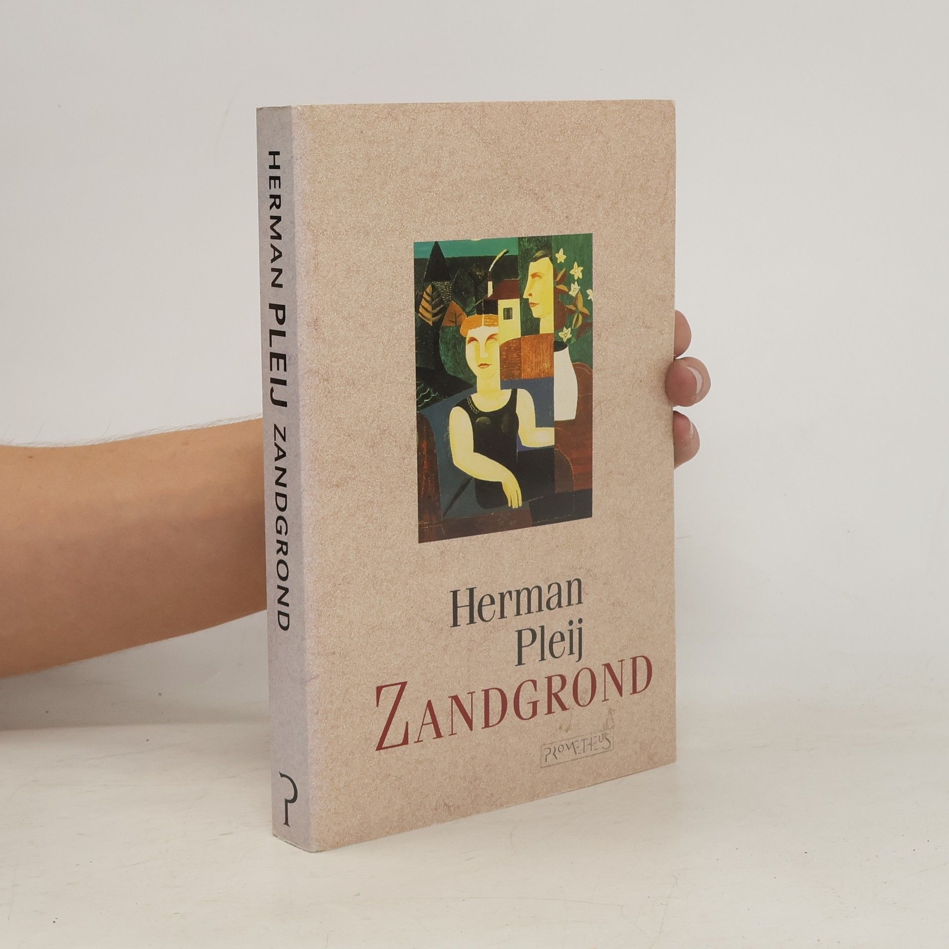 Herman Pleij Zandgrond