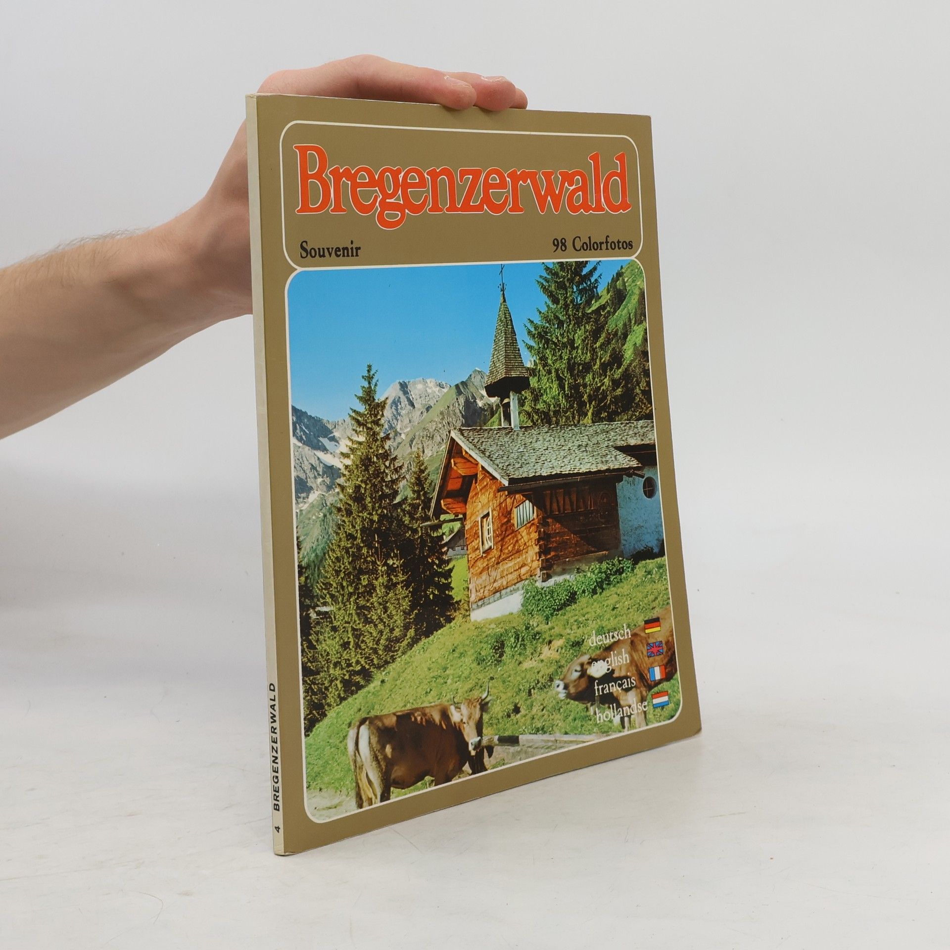 Collectif d'auteurs Bregenzerwald