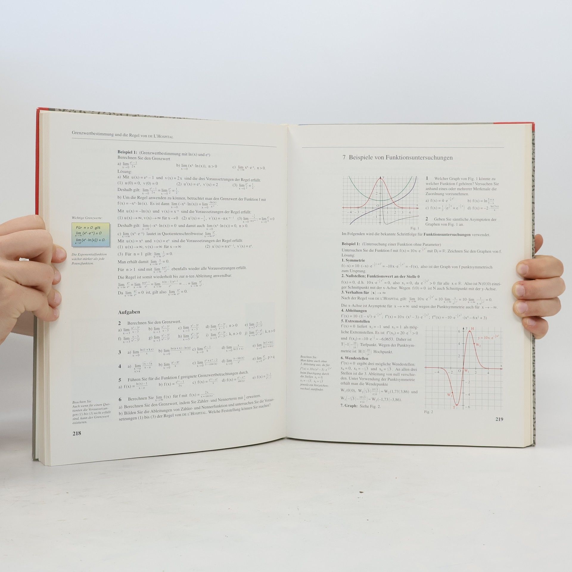 Various authors Analysis Leistungkurs Gesamtband