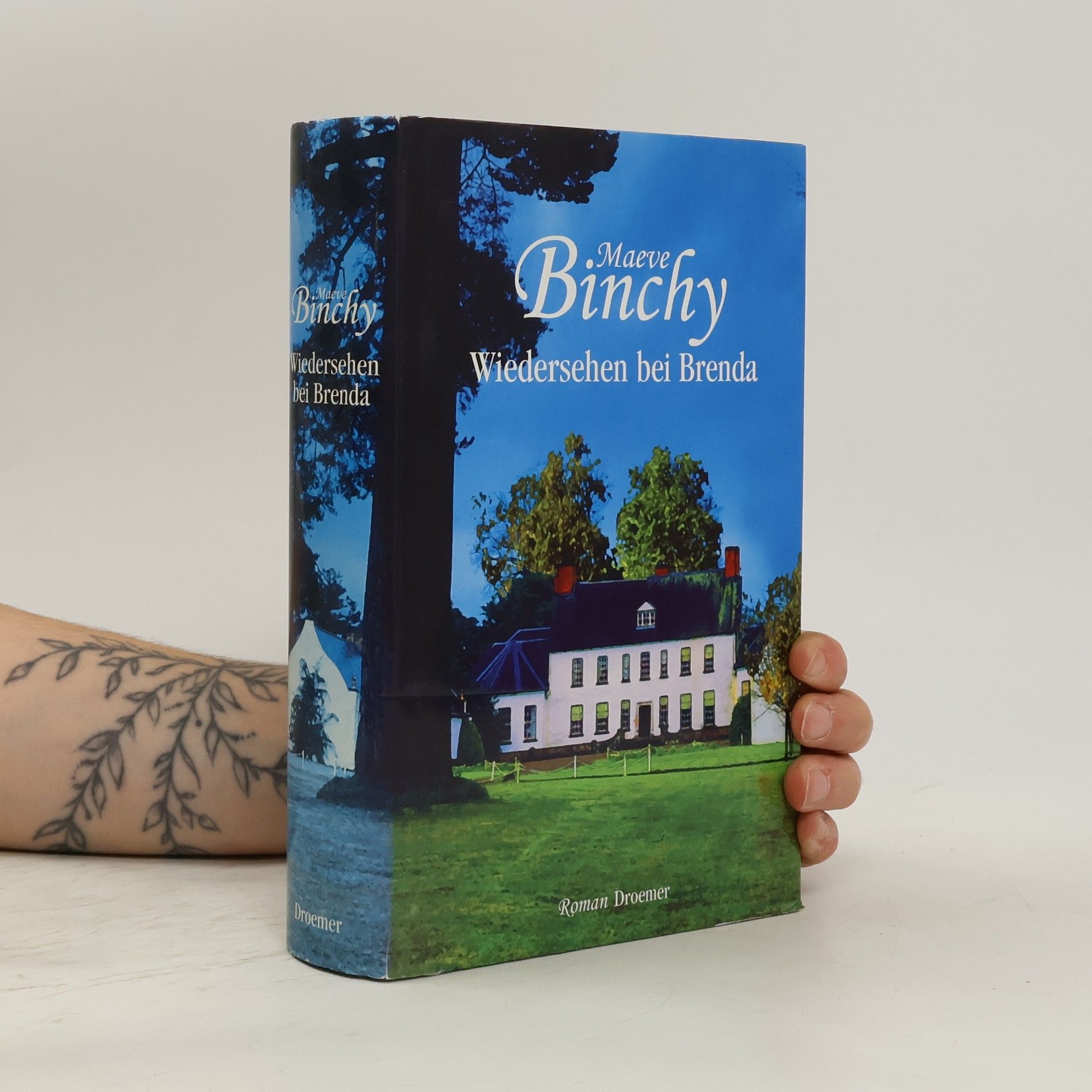 Maeve Binchy Wiedersehen bei Brenda