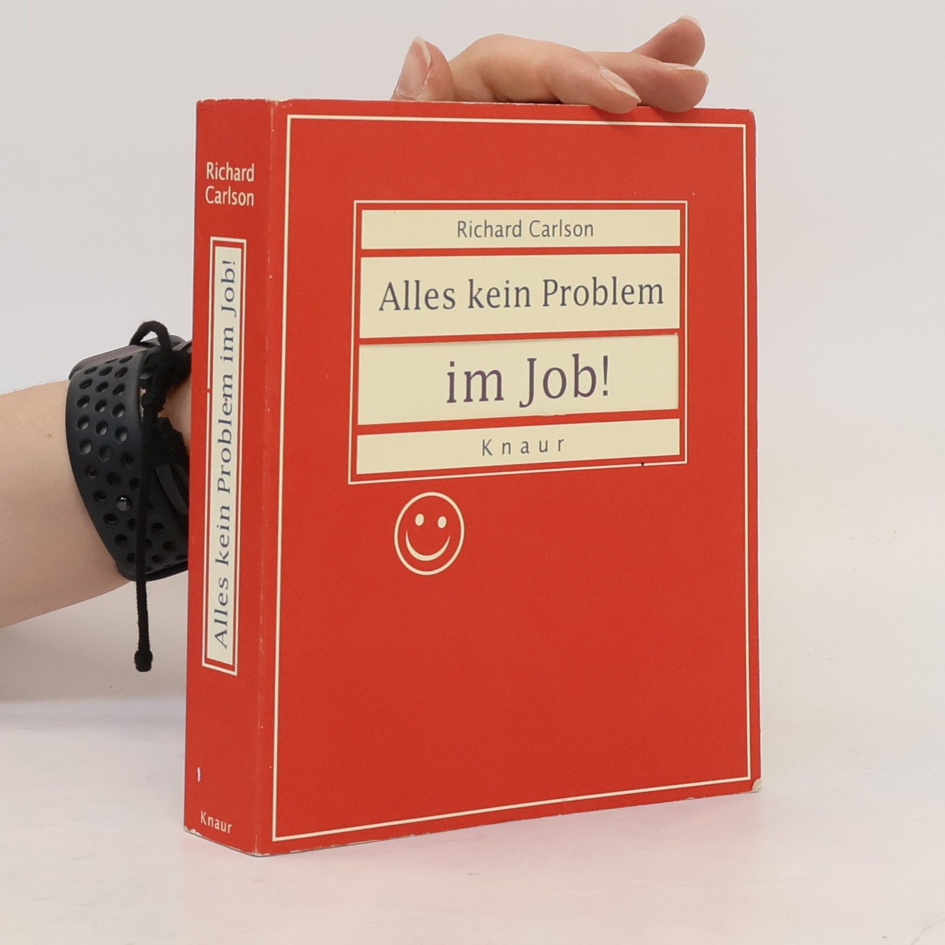 Richard Carlson Alles kein Problem im Job!