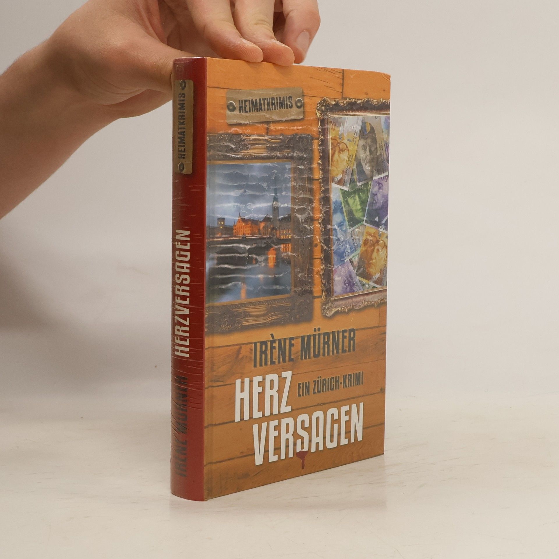Irène Mürner Herzversagen. Ein Zürich-Krimi