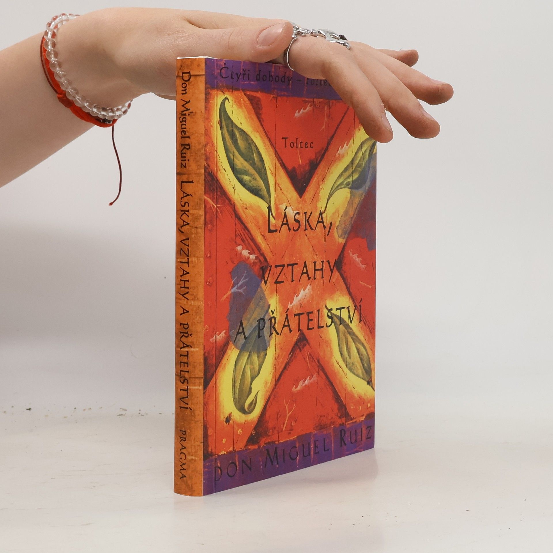 Don Miguel Ruiz Láska, vztahy a přátelství