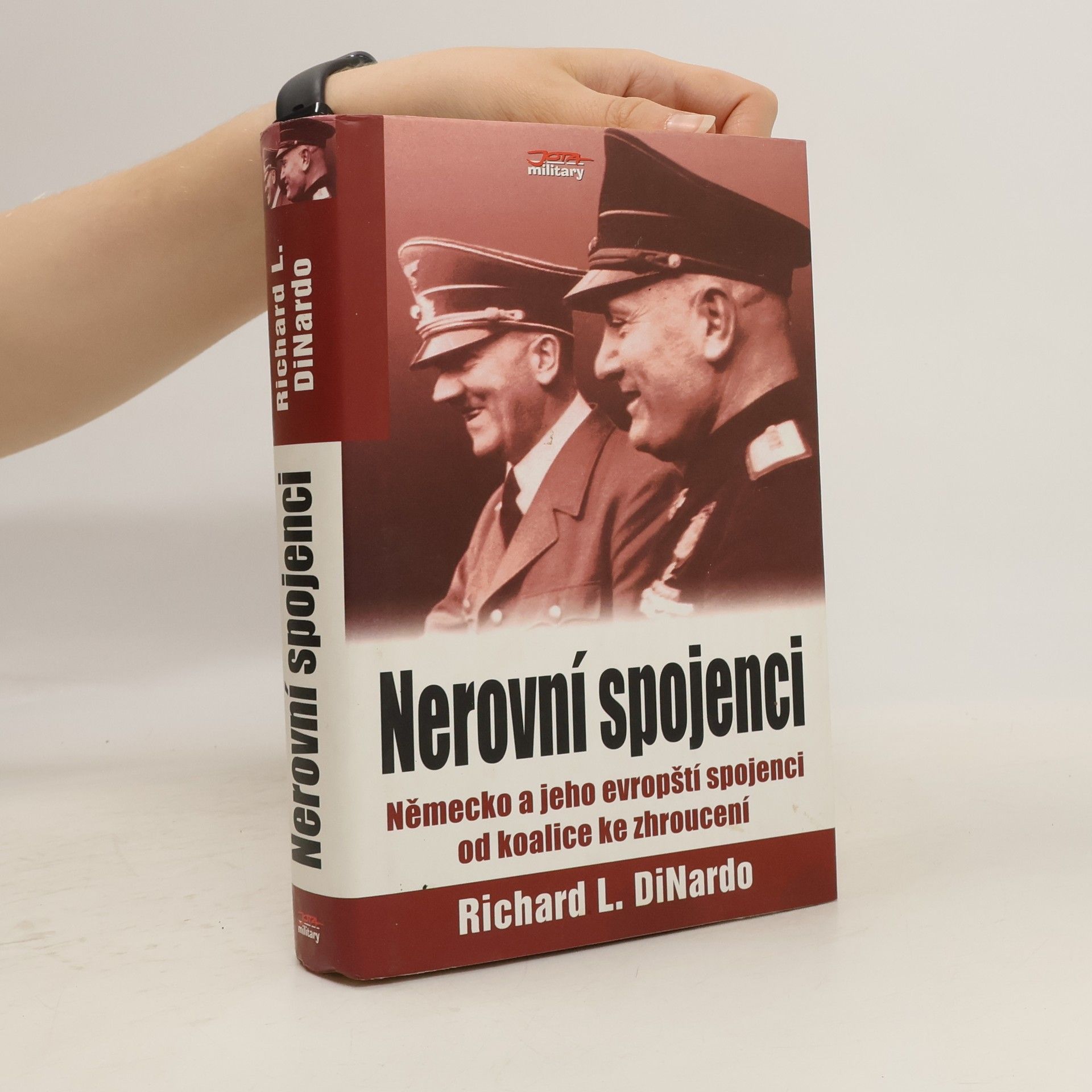 Richard L. DiNardo Nerovní spojenci