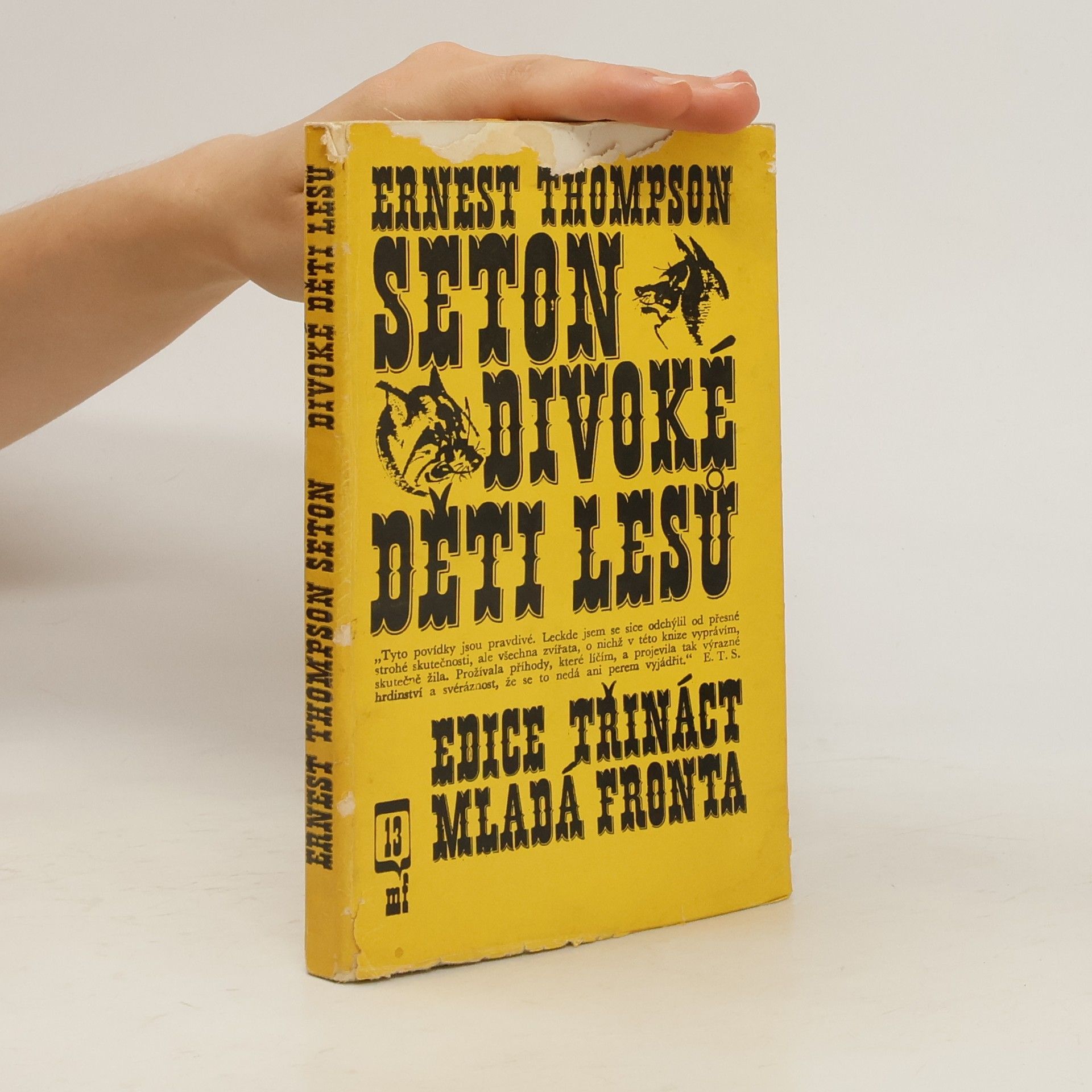 Ernest Thompson Seton Divoké děti lesů