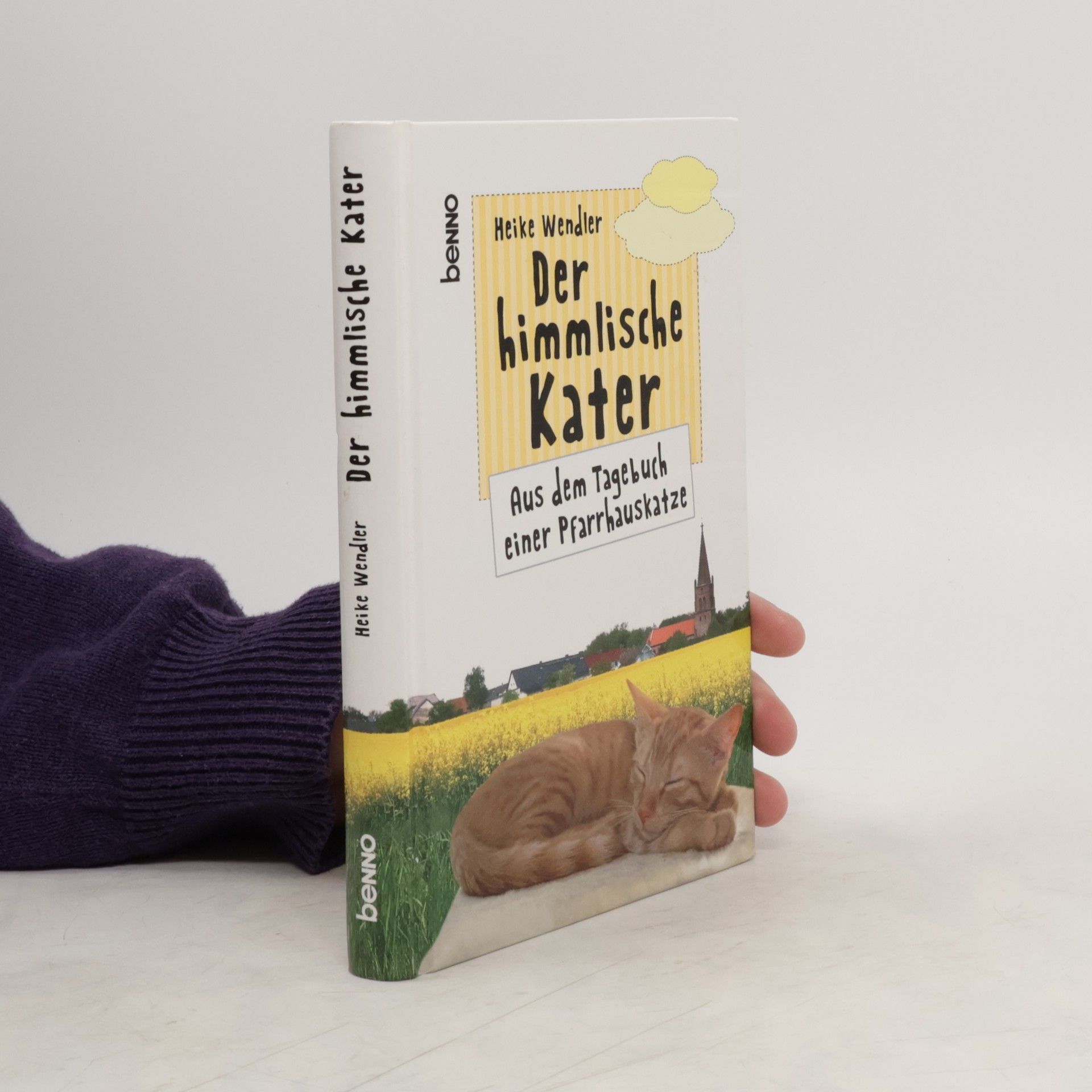 Heike Wendler Der himmlische Kater