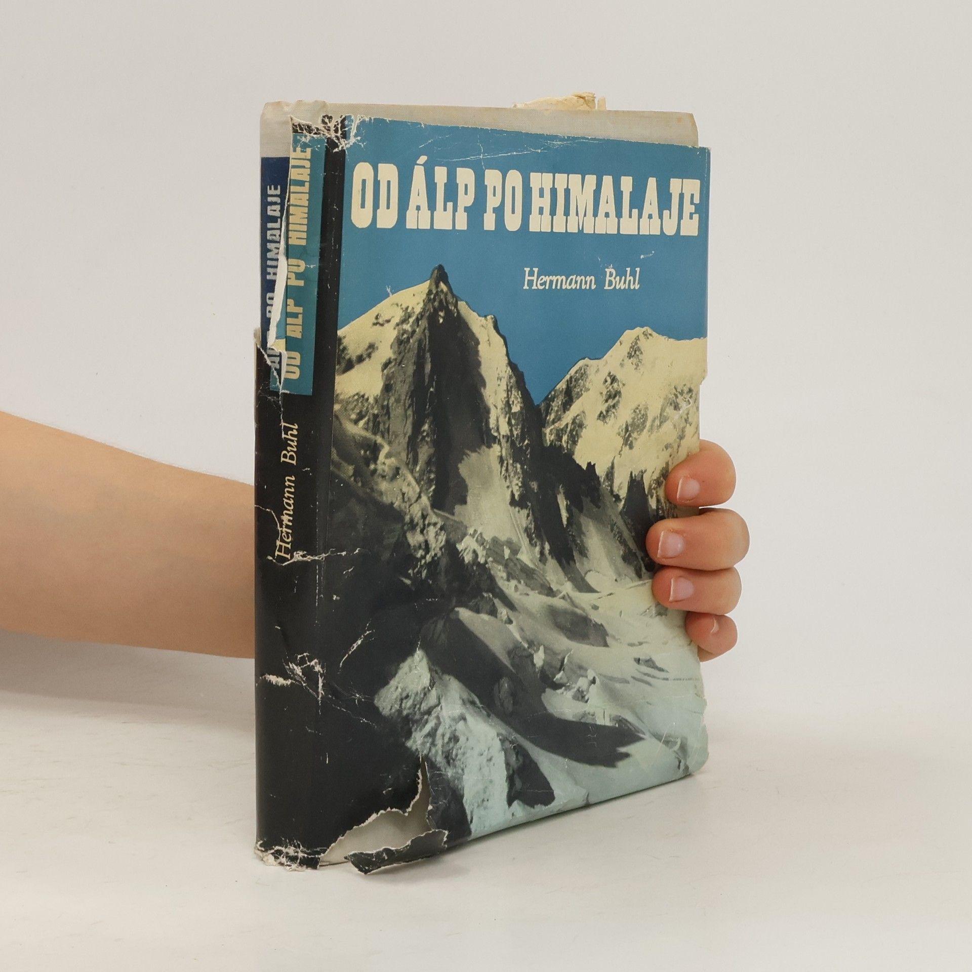 Hermann Buhl Od Álp po Himalaje