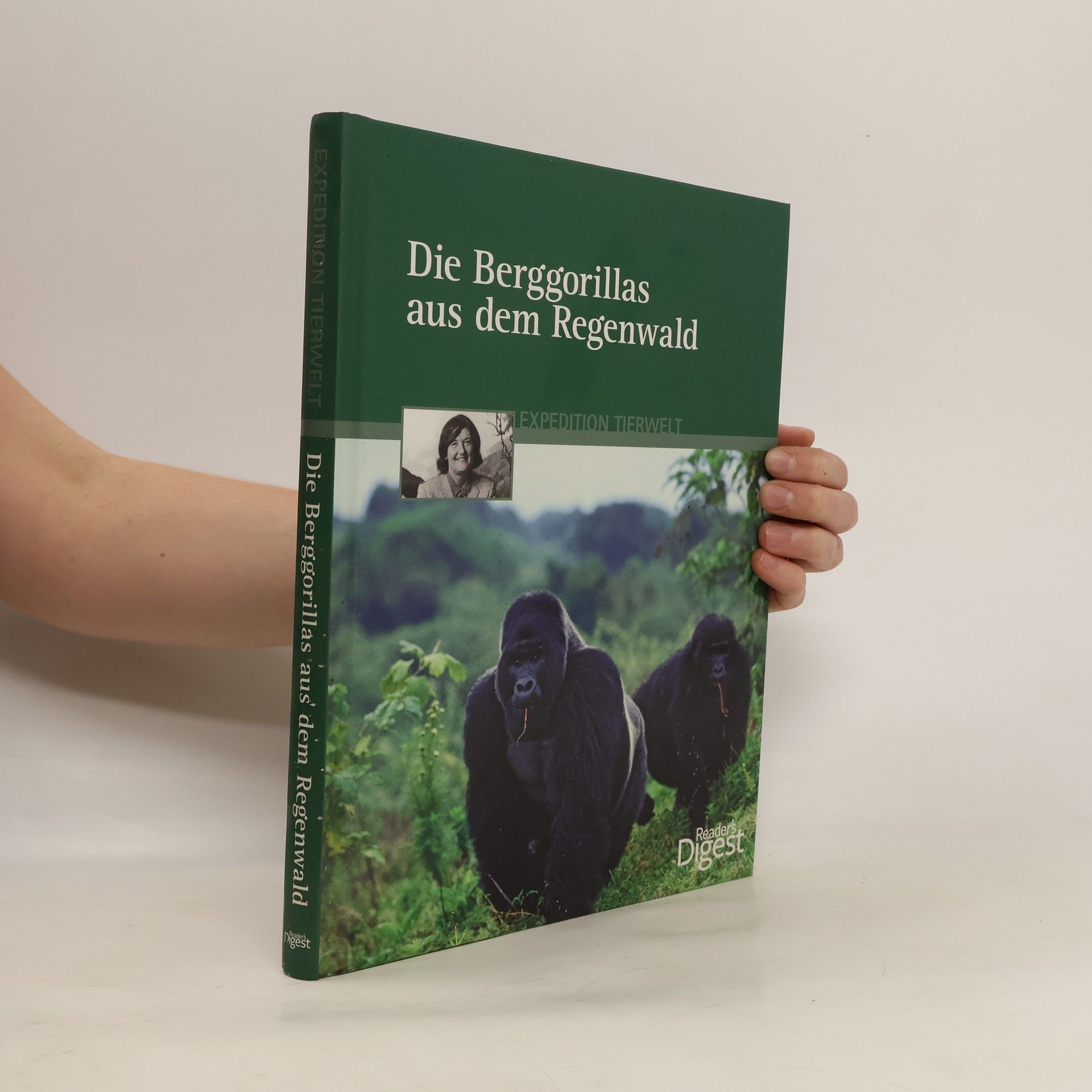 Kerstin Viering Die Berggorillas aus dem Regenwald