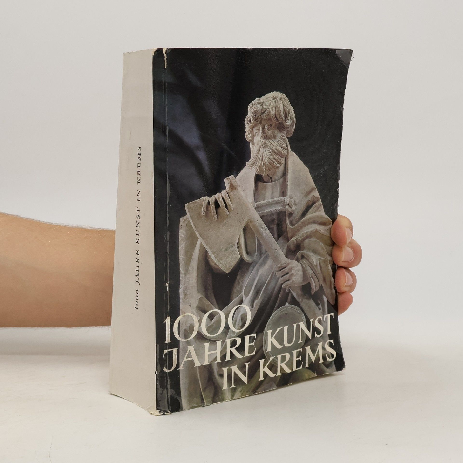 Kolektiv autorů 1000 Jahre kuns in Krems