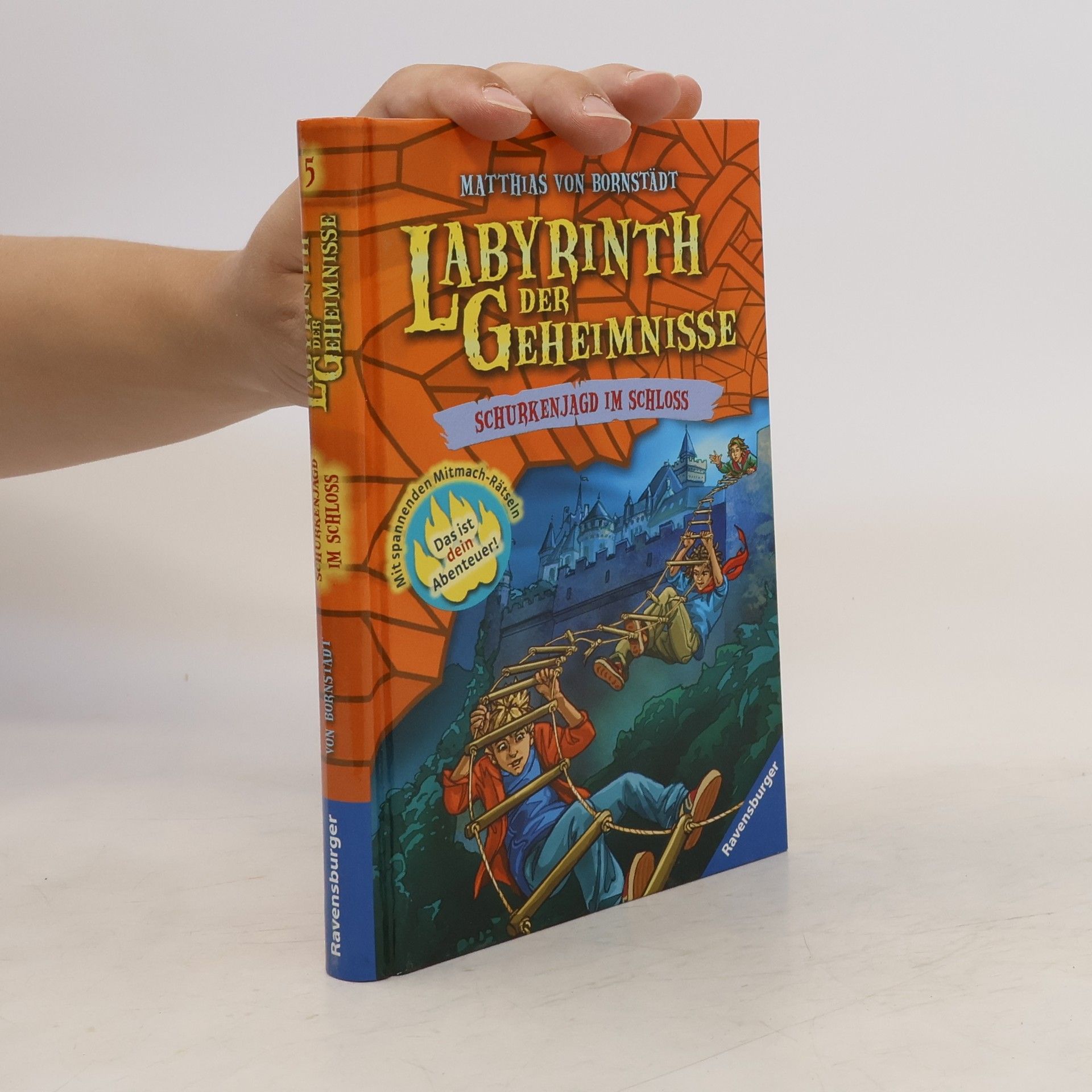 Matthias von Bornstädt Labyrinth der Geheimnisse: Schurkenjagd im Schloss