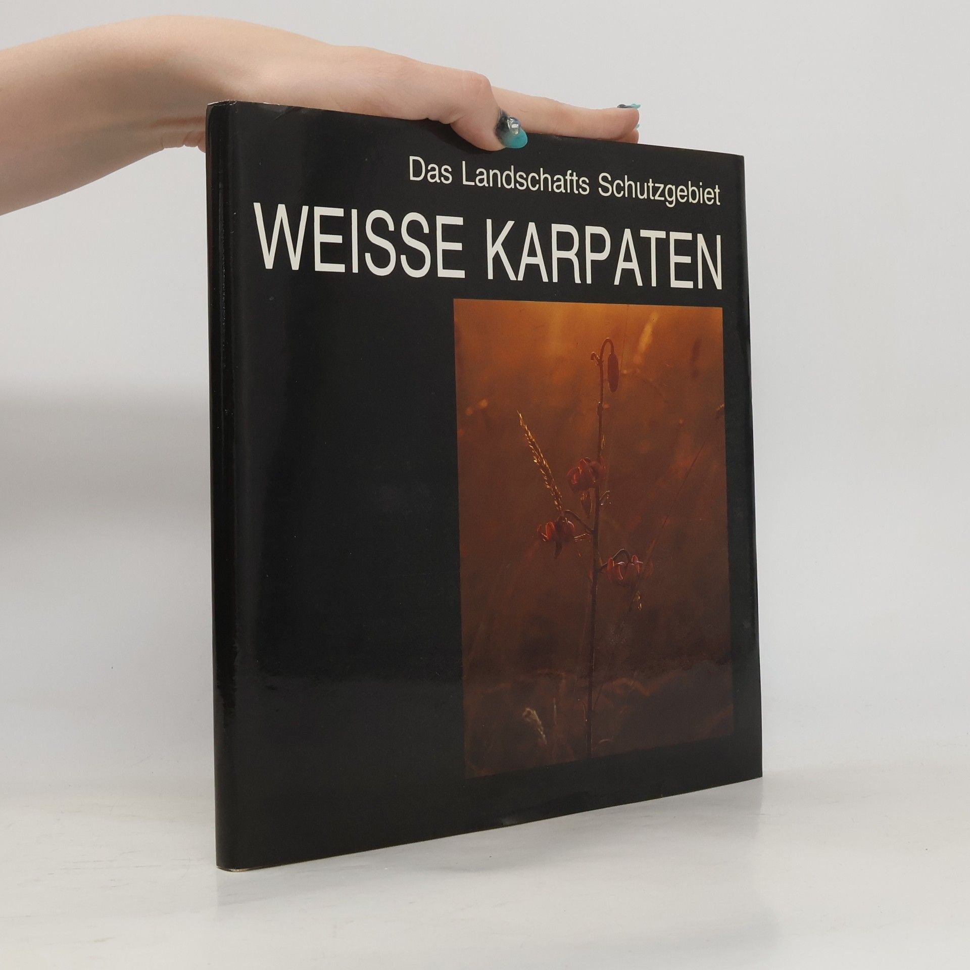 Bohumír Prokůpek Das Landschafts Schutzgebiet Weisse Karpaten