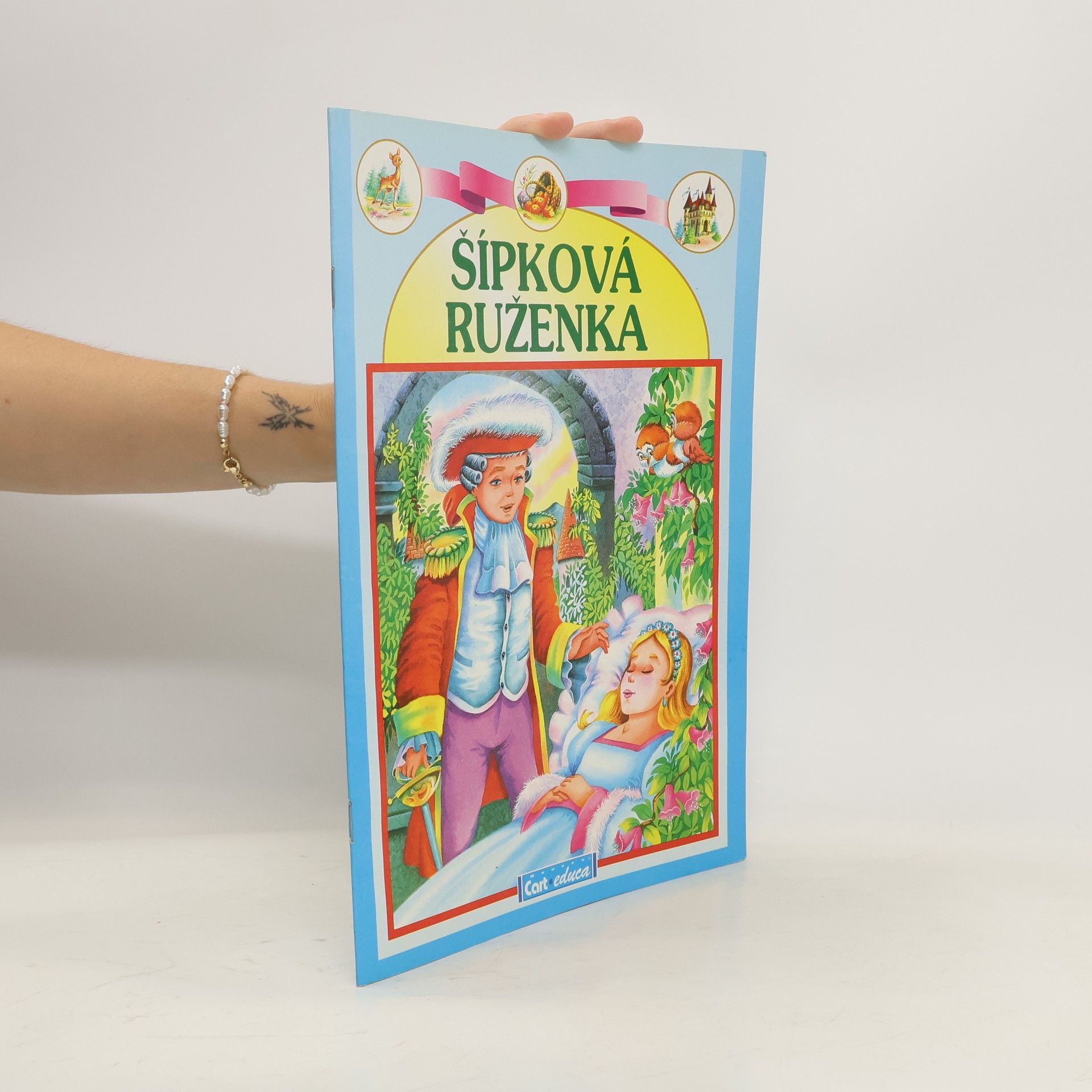 Collectif d'auteurs Šípková Ruženka