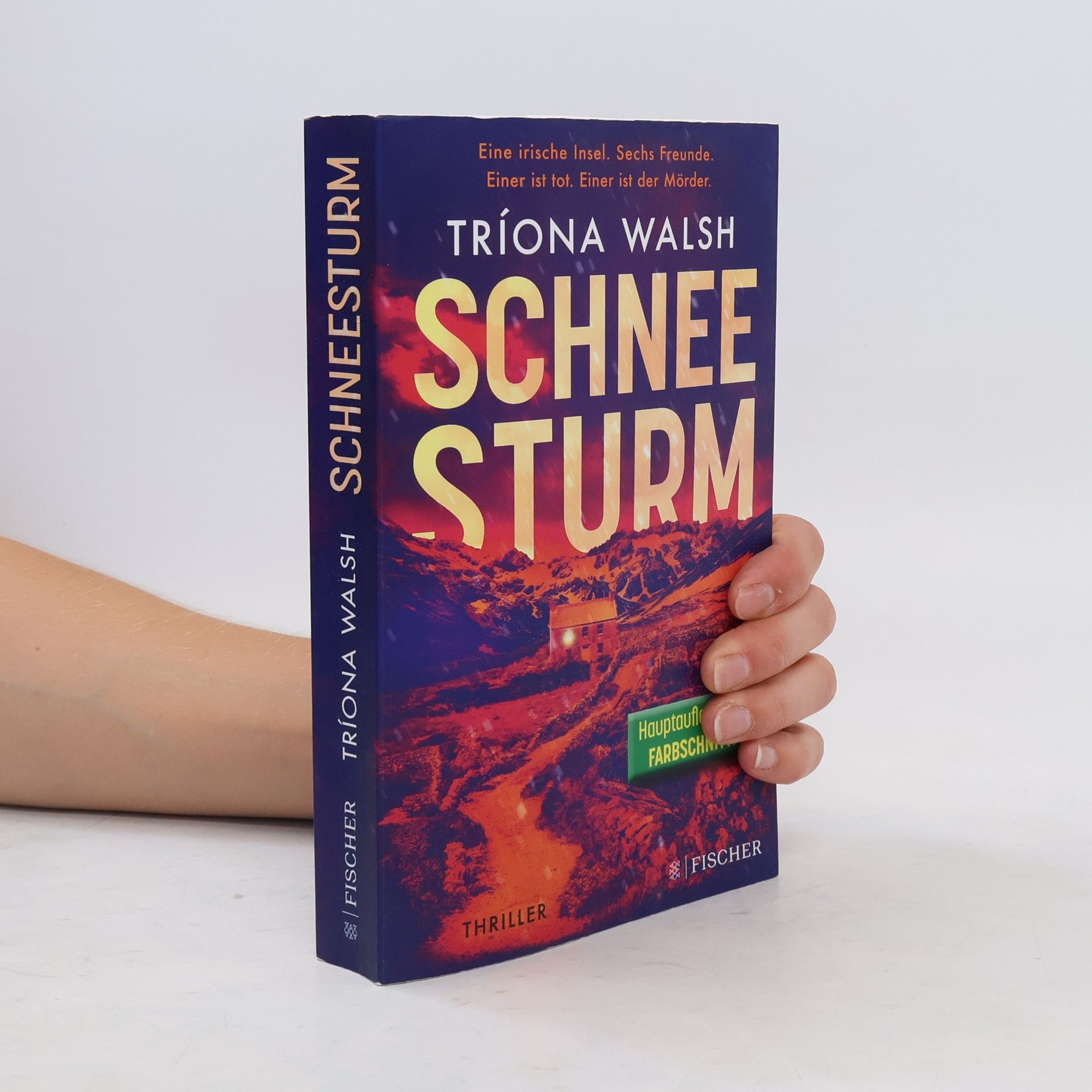 Tríona Walsh Schneesturm