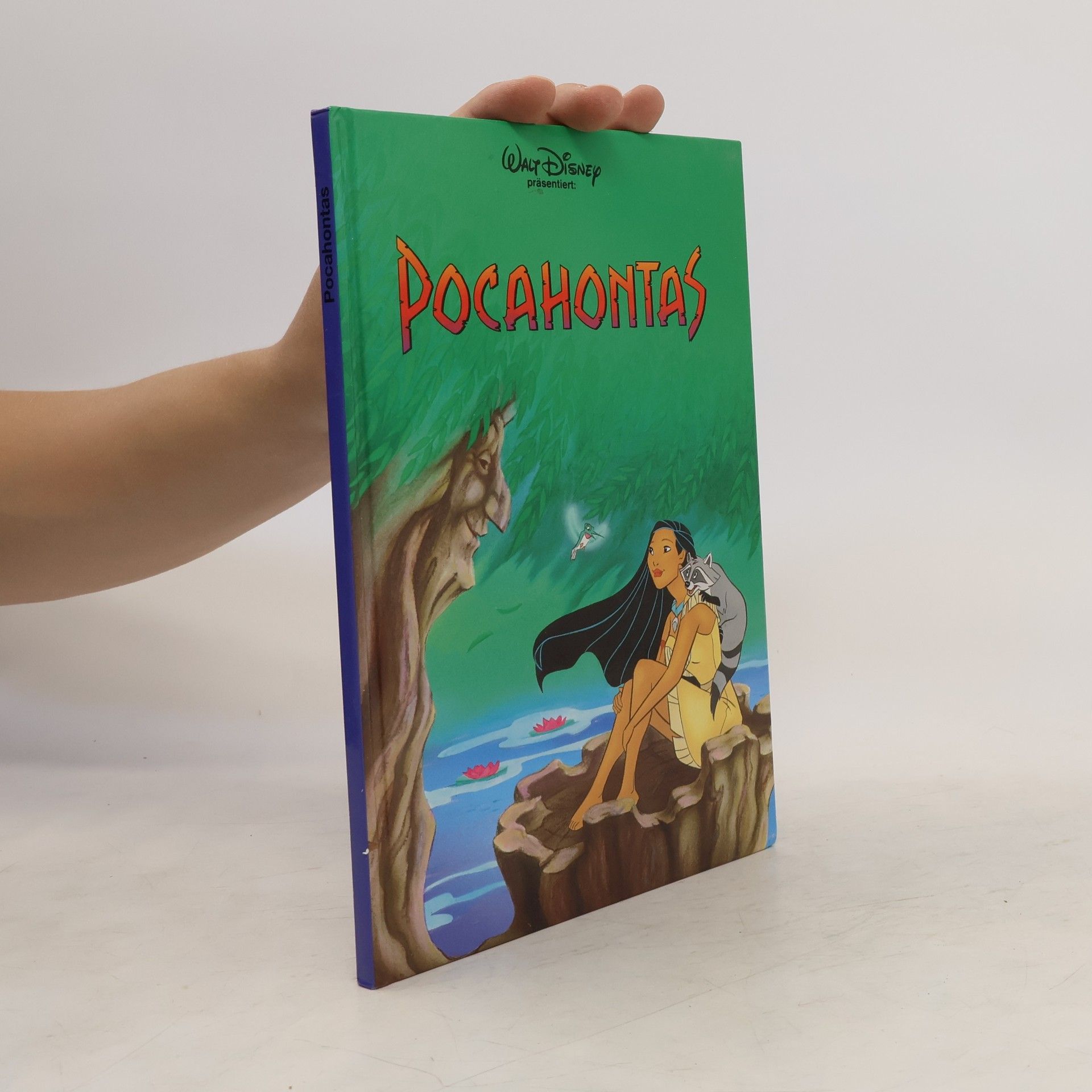 Collectif d'auteurs Pocahontas