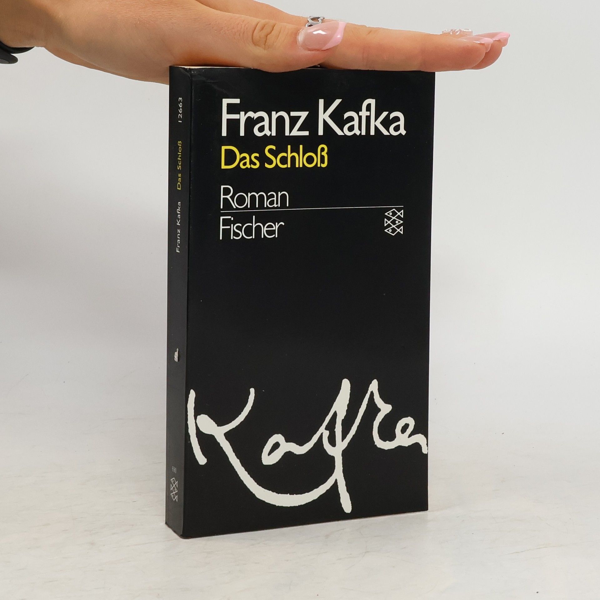 Franz Kafka Das Schloss : Roman