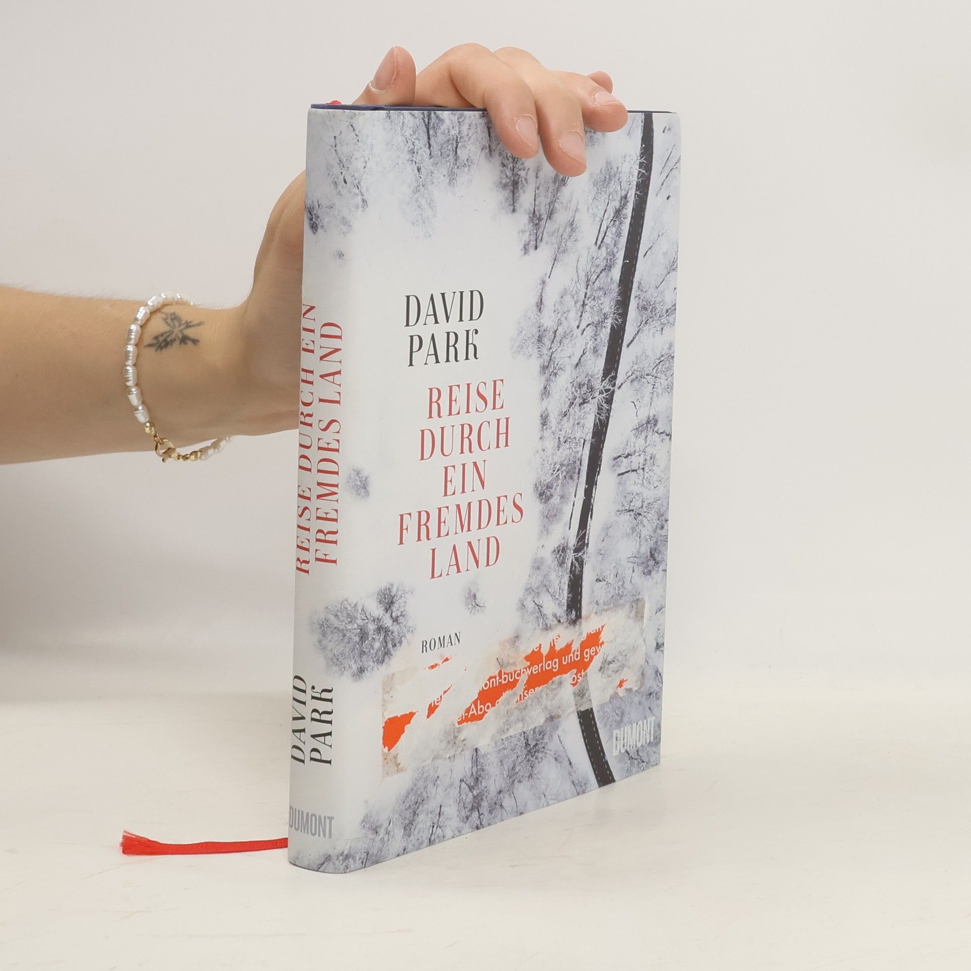 David Park Reise durch ein fremdes Land