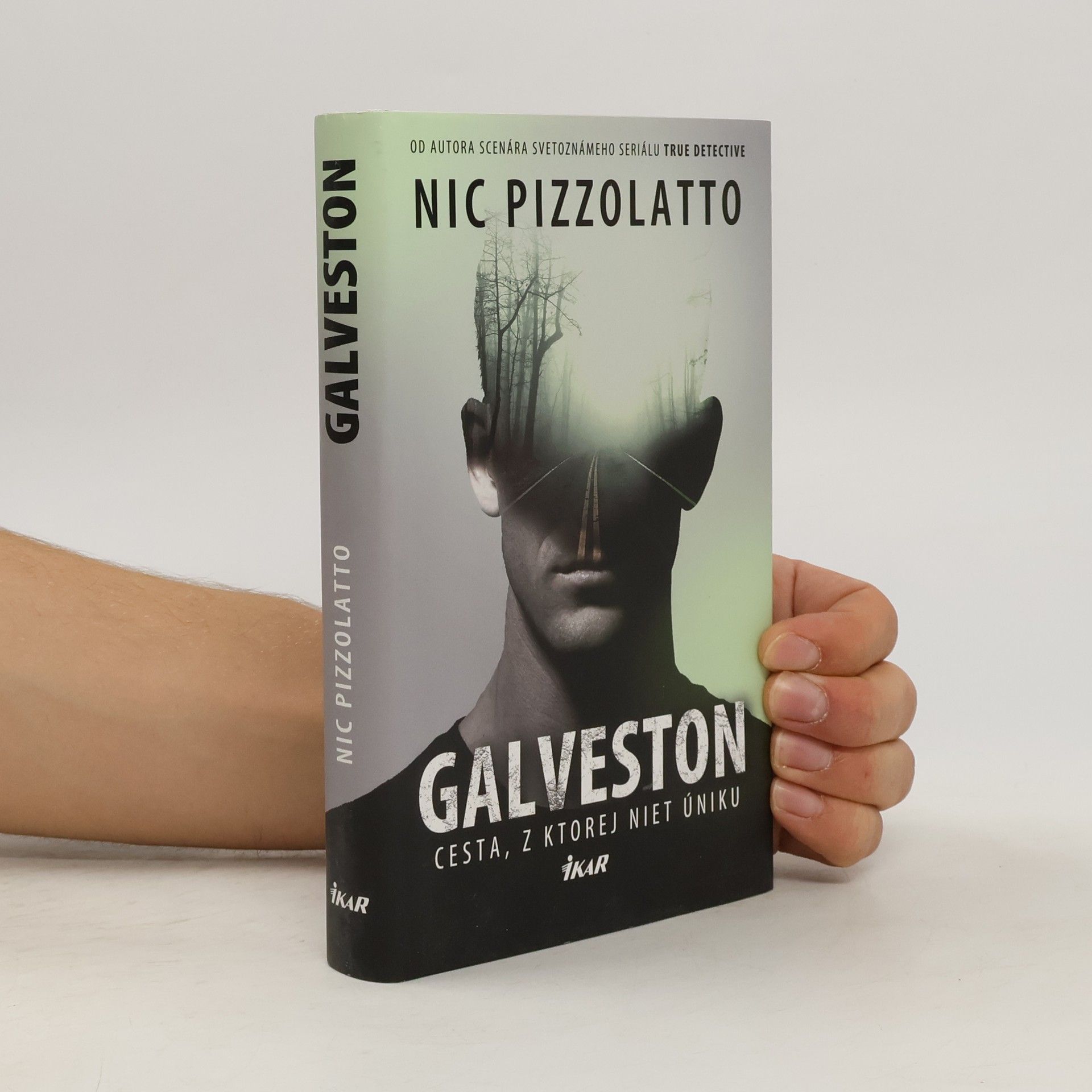 Nic Pizzolatto Galveston