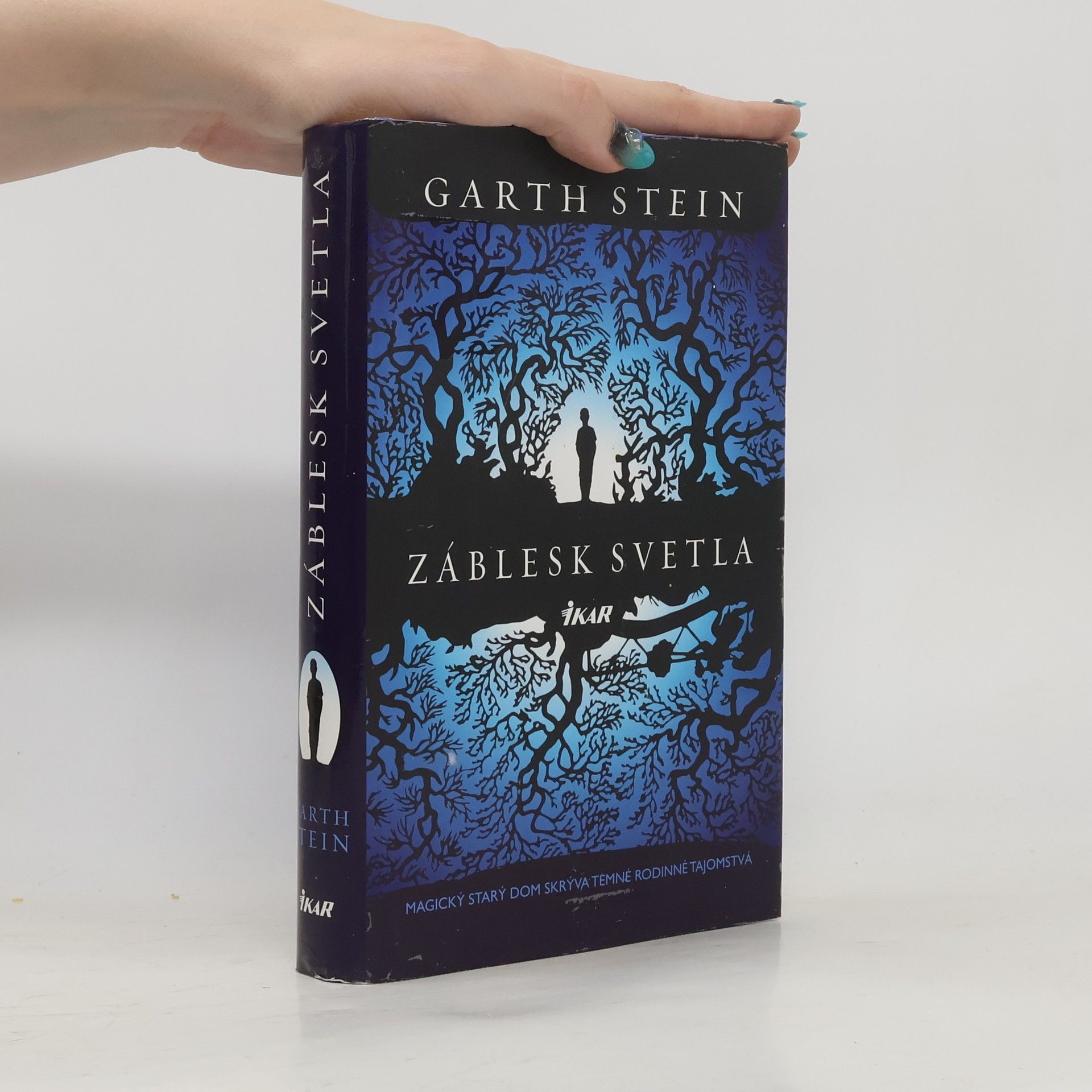 Garth Stein Záblesk svetla