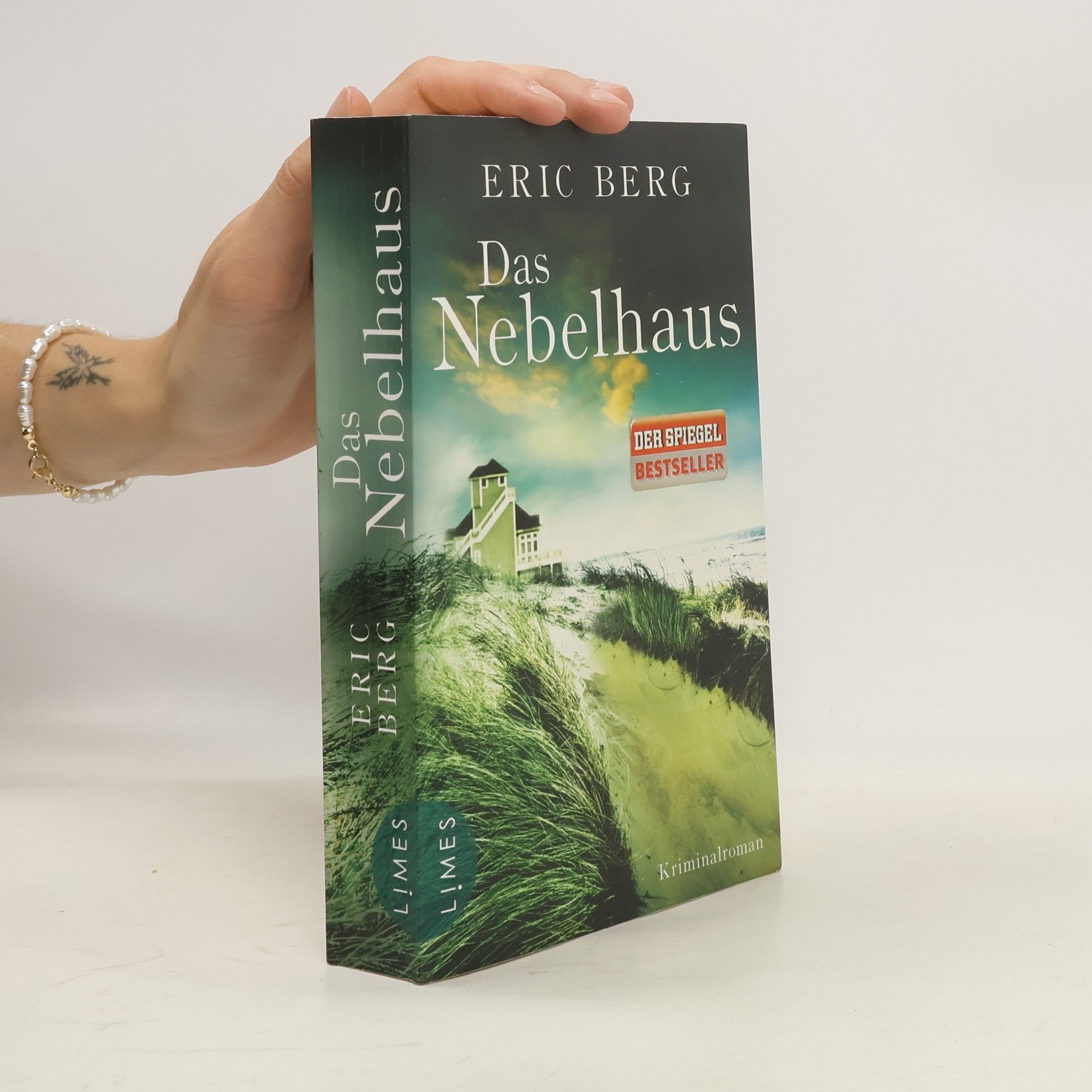 Eric Berg Das Nebelhaus