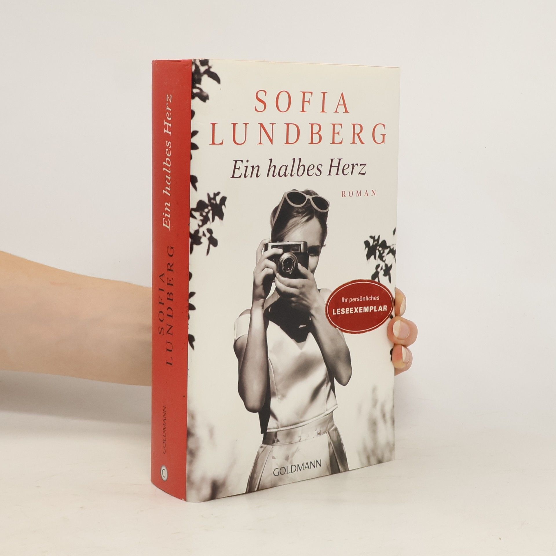 Sofia Lundberg  Ein halbes Herz