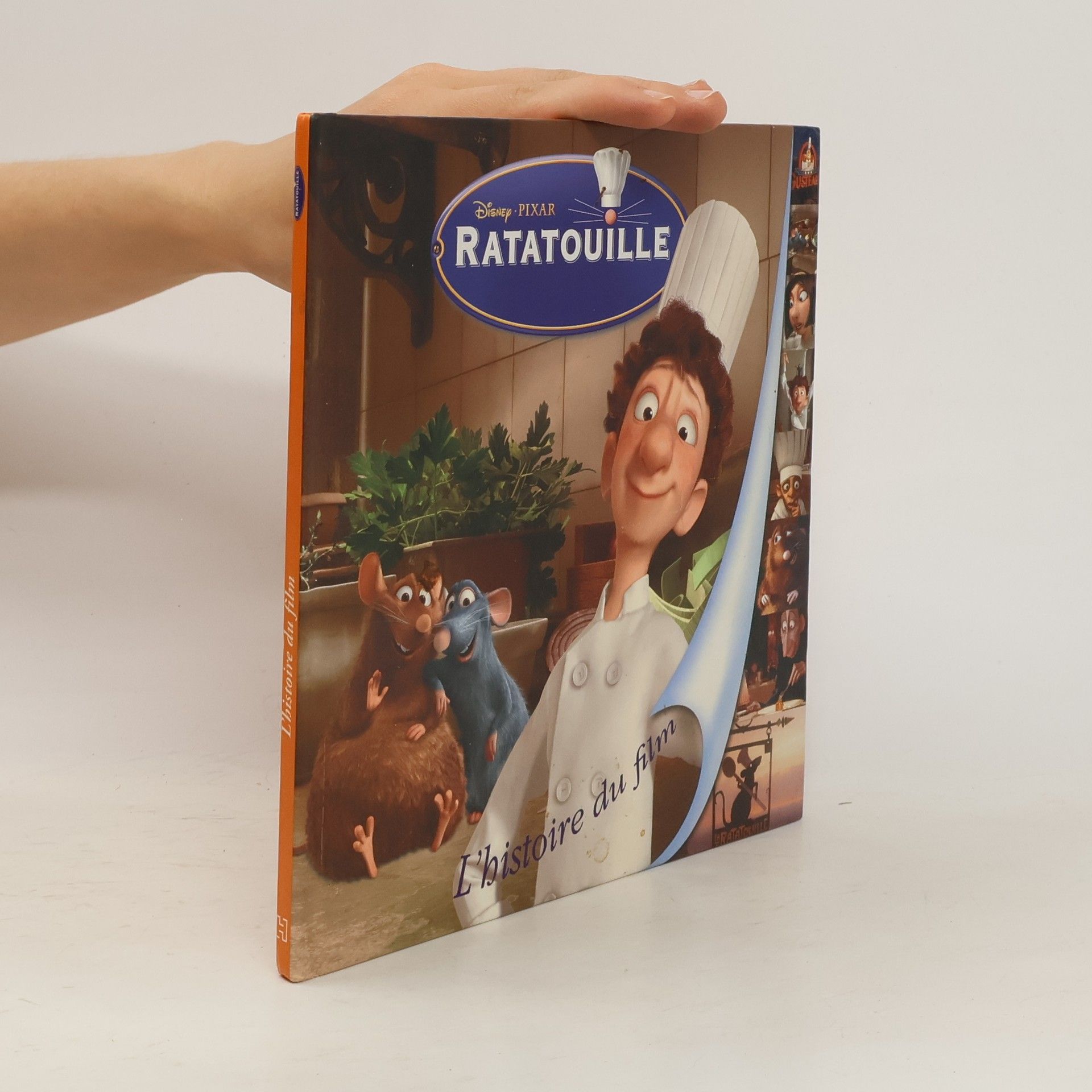 Collectif d'auteurs Ratatouille