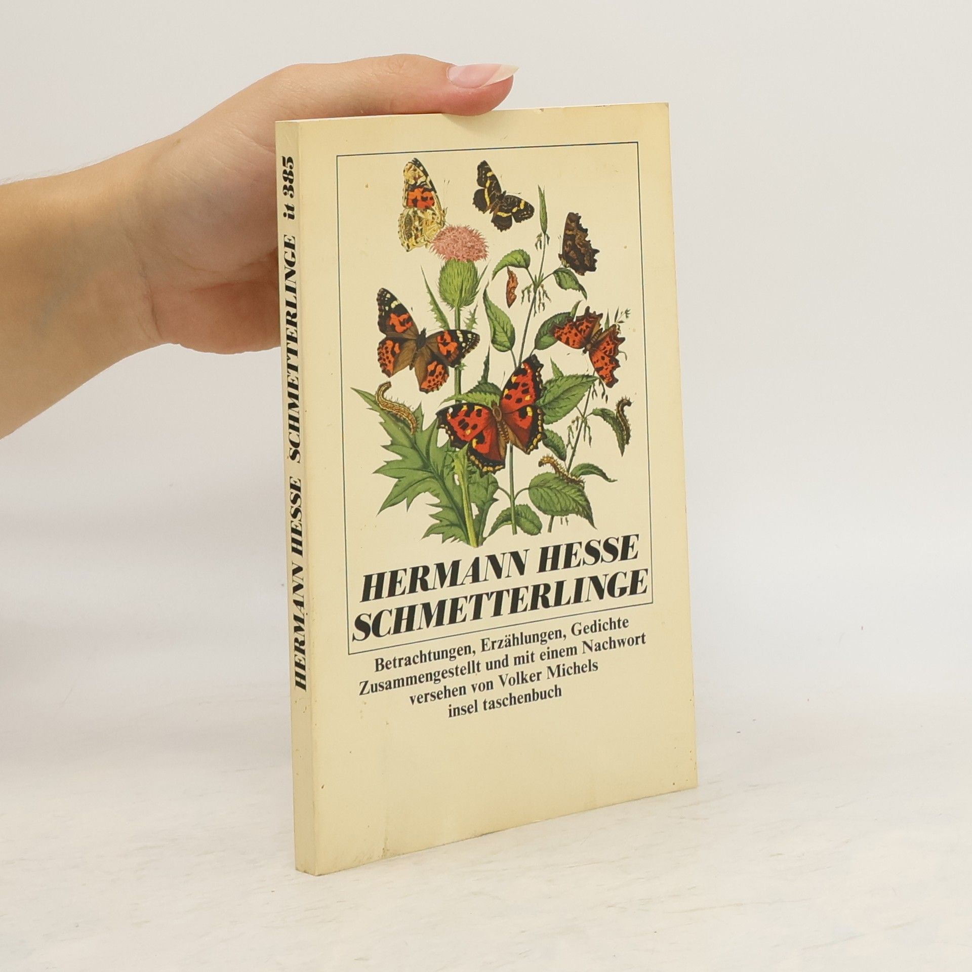 Hermann Hesse Schmetterlinge