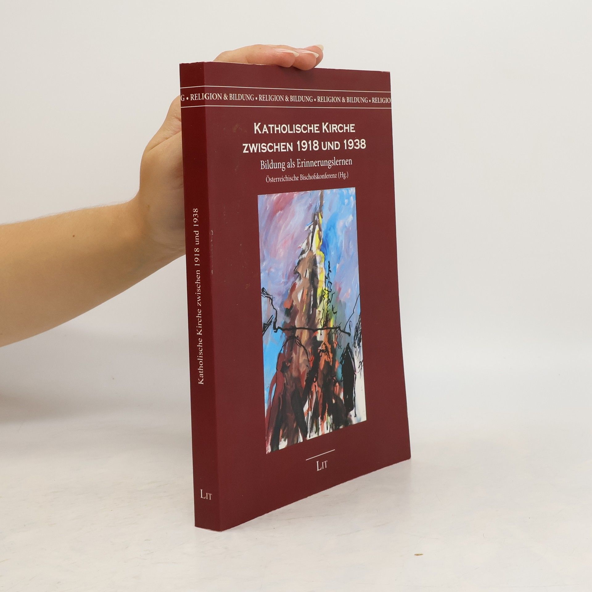 Kolektív autorov Katholische Kirche zwischen 1918 und 1938
